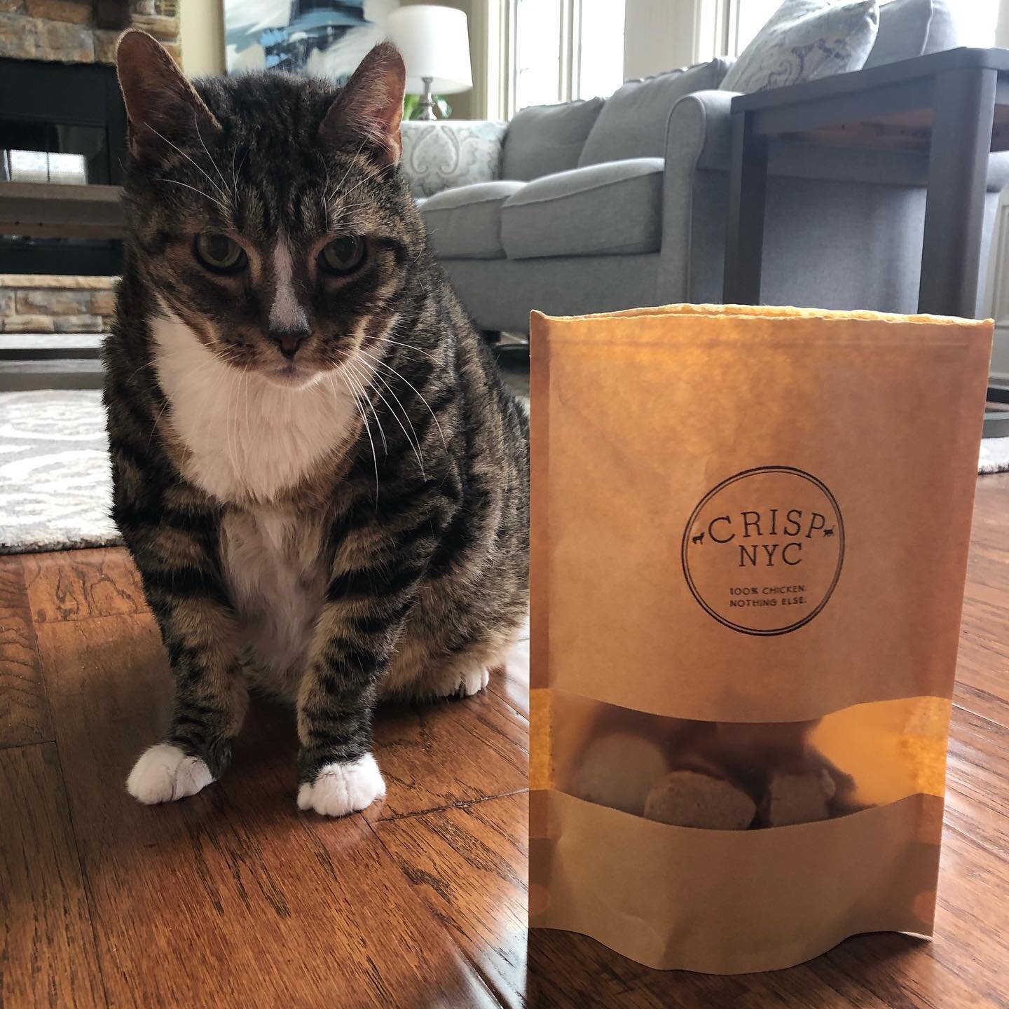 This is Jetsy, the Catbassador of CrispNYC.  He&rsquo;s in 😍 with our Chicken Crisps too.  Feed your 🐱and 🐶 ingredients you know.
