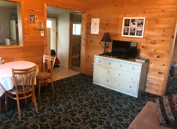 Living room - View 2