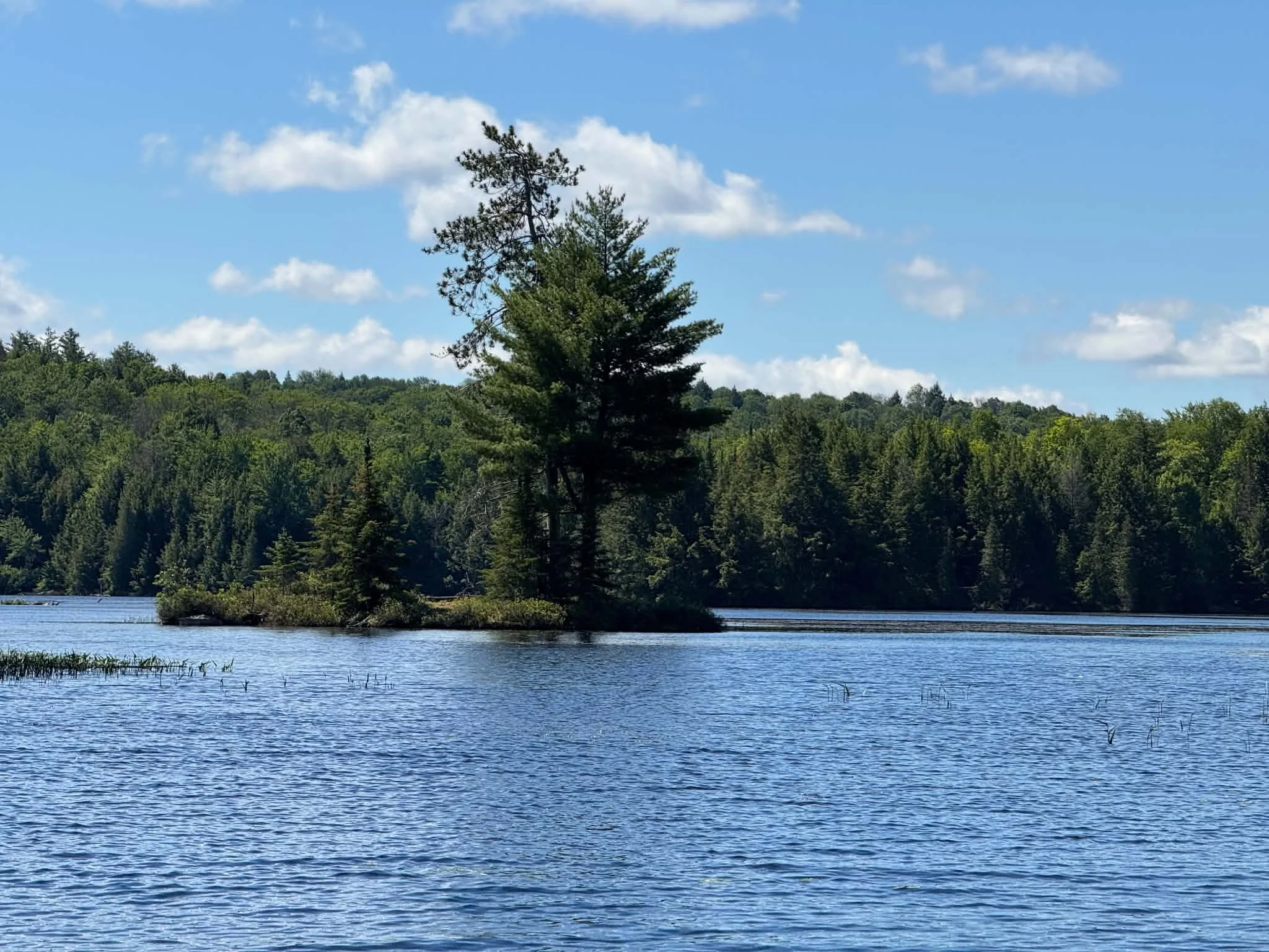 bb088037-290a-4274-82ea-d28120f73efc.jpg