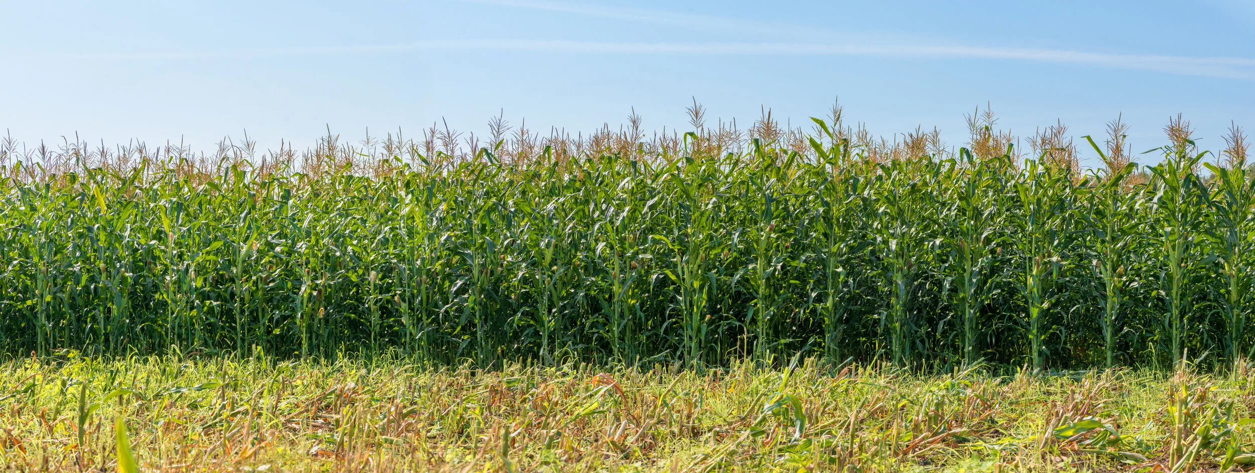 Agricultural BMP Database — INT'L STORMWATER BMP DBASE