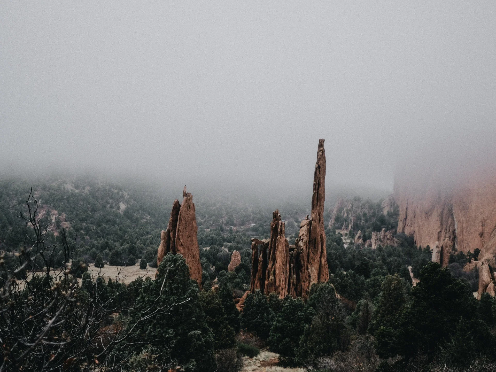 d47ff7c5-0a20-4c54-b7db-40e90fb825b4.jfif