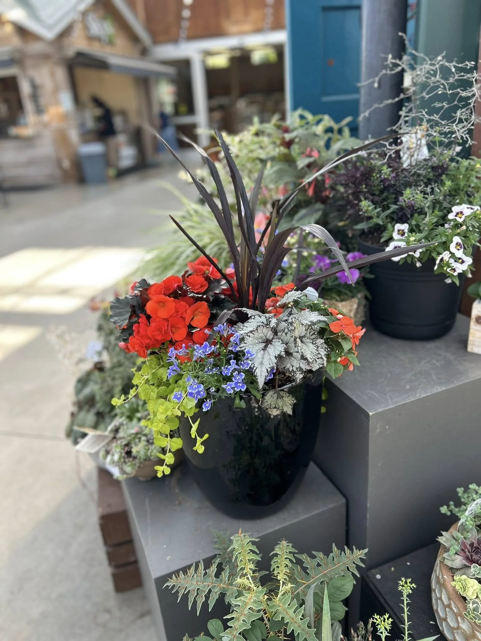 My Favorite Containers of 2025