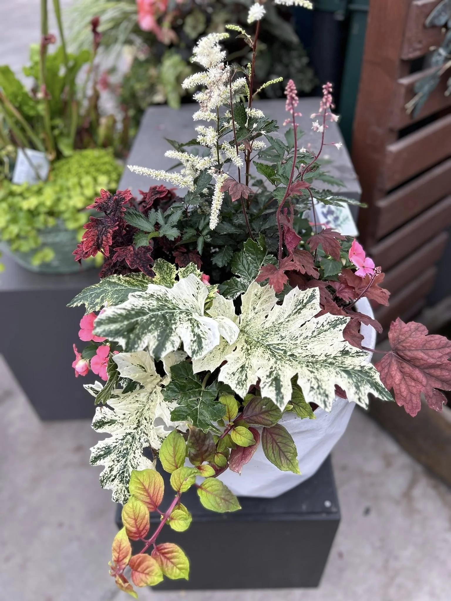 Progression of a Container, #1