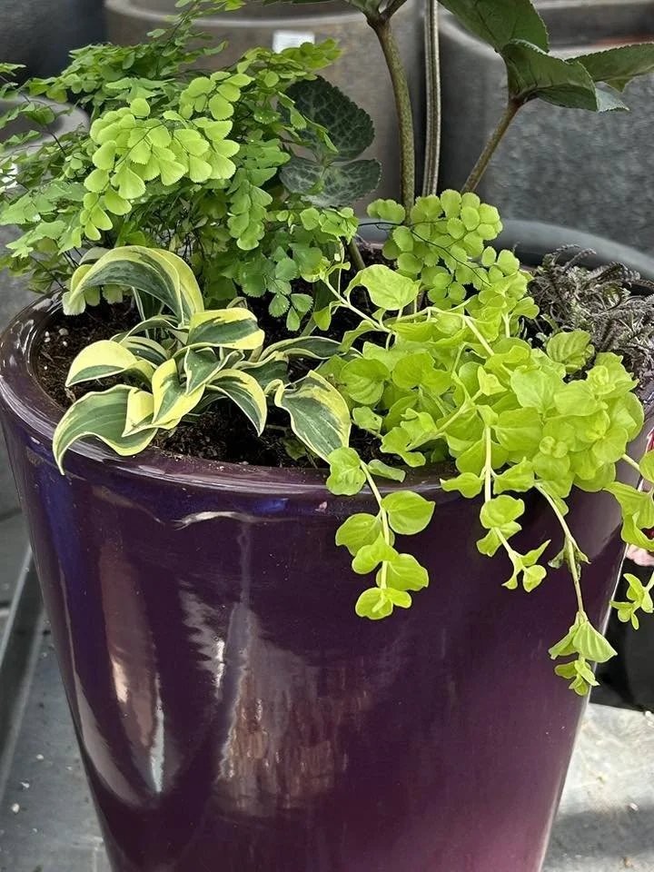 Progression of a Container, #2