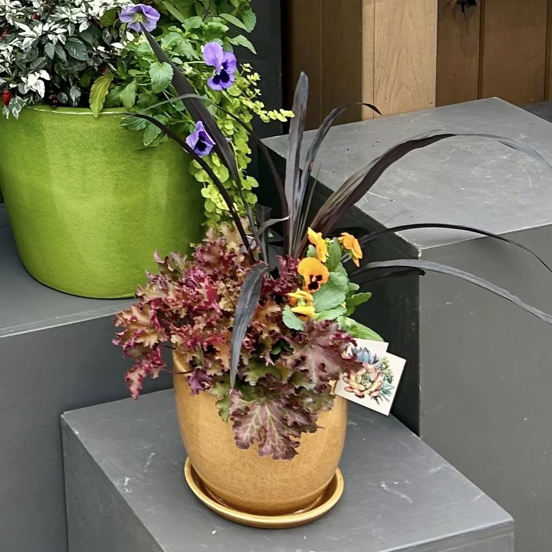 Progression of a Container, #3