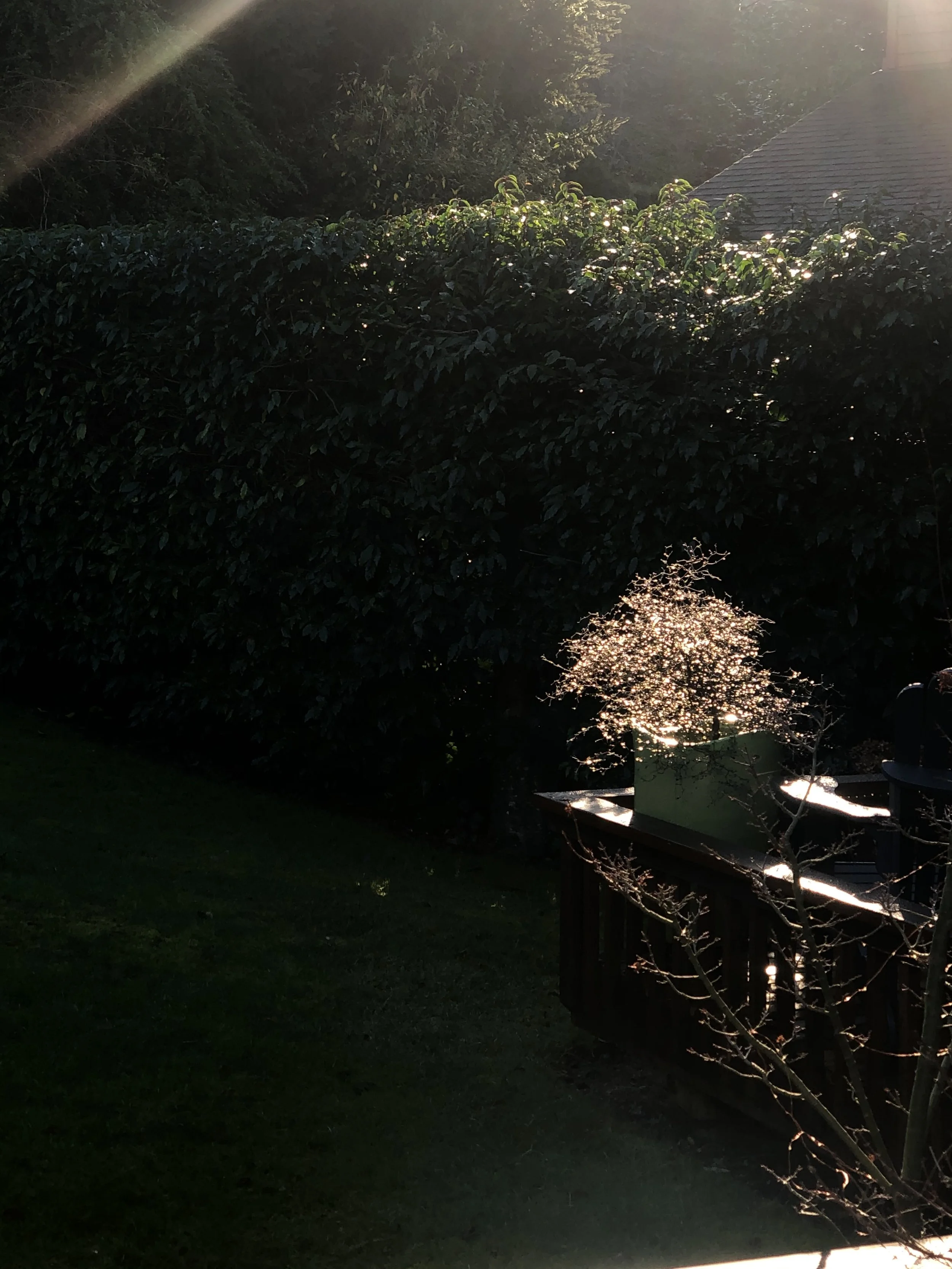 VI. Writings from the Edge of the Apocalypse: Epilogue