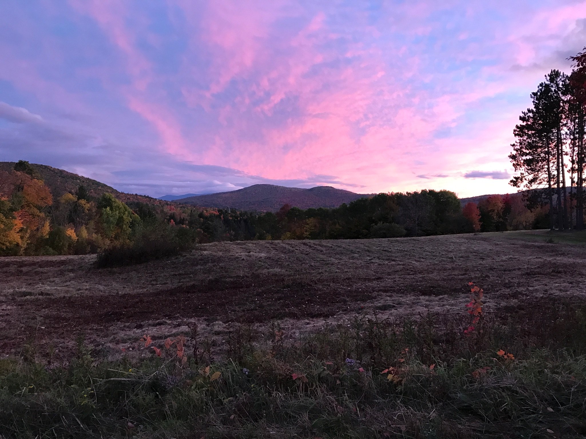 Bill Summary - New Hampshire Alliance for End of Life Options 