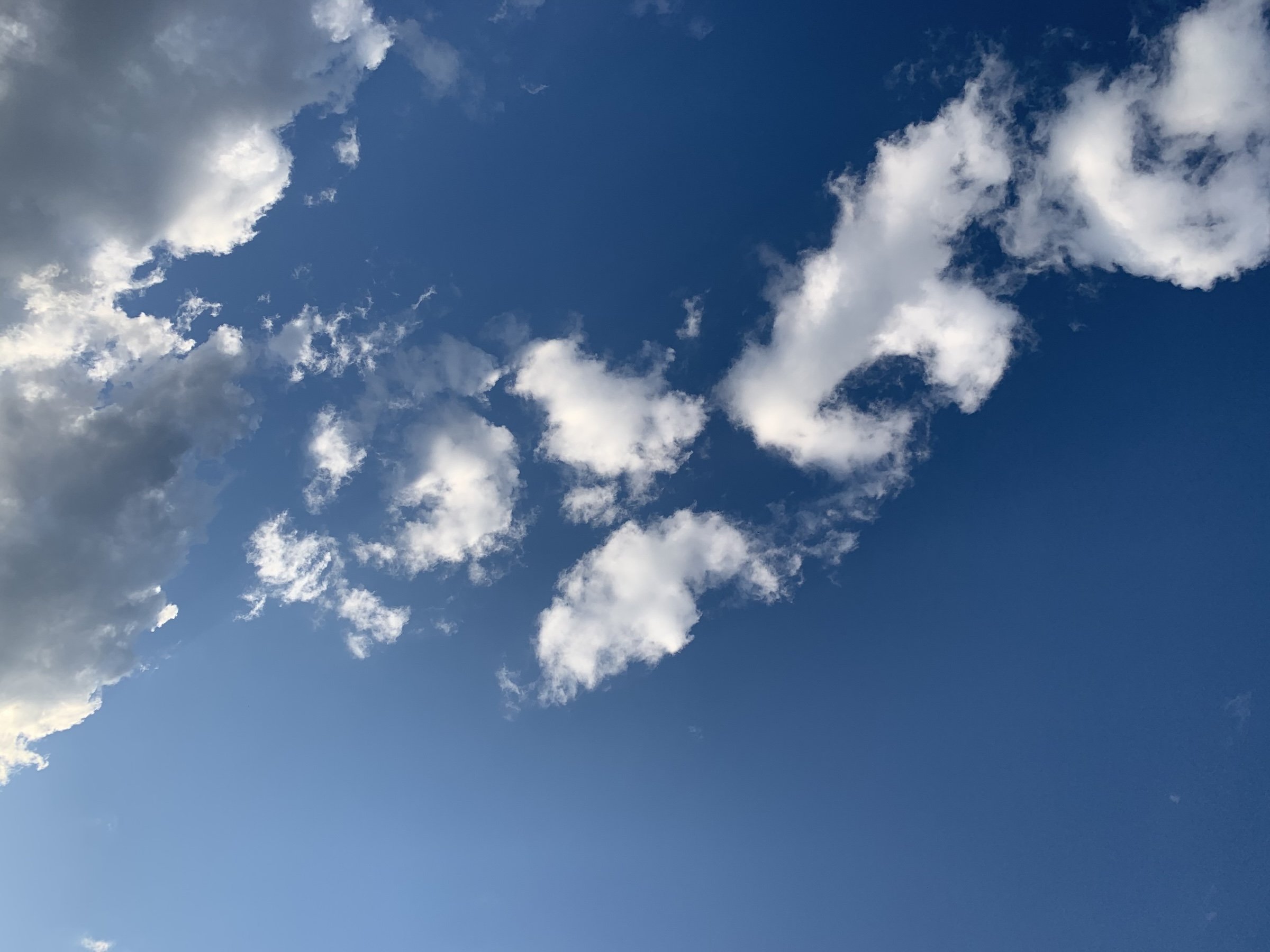 What Will it Take? - New Hampshire Alliance for End of Life Options 