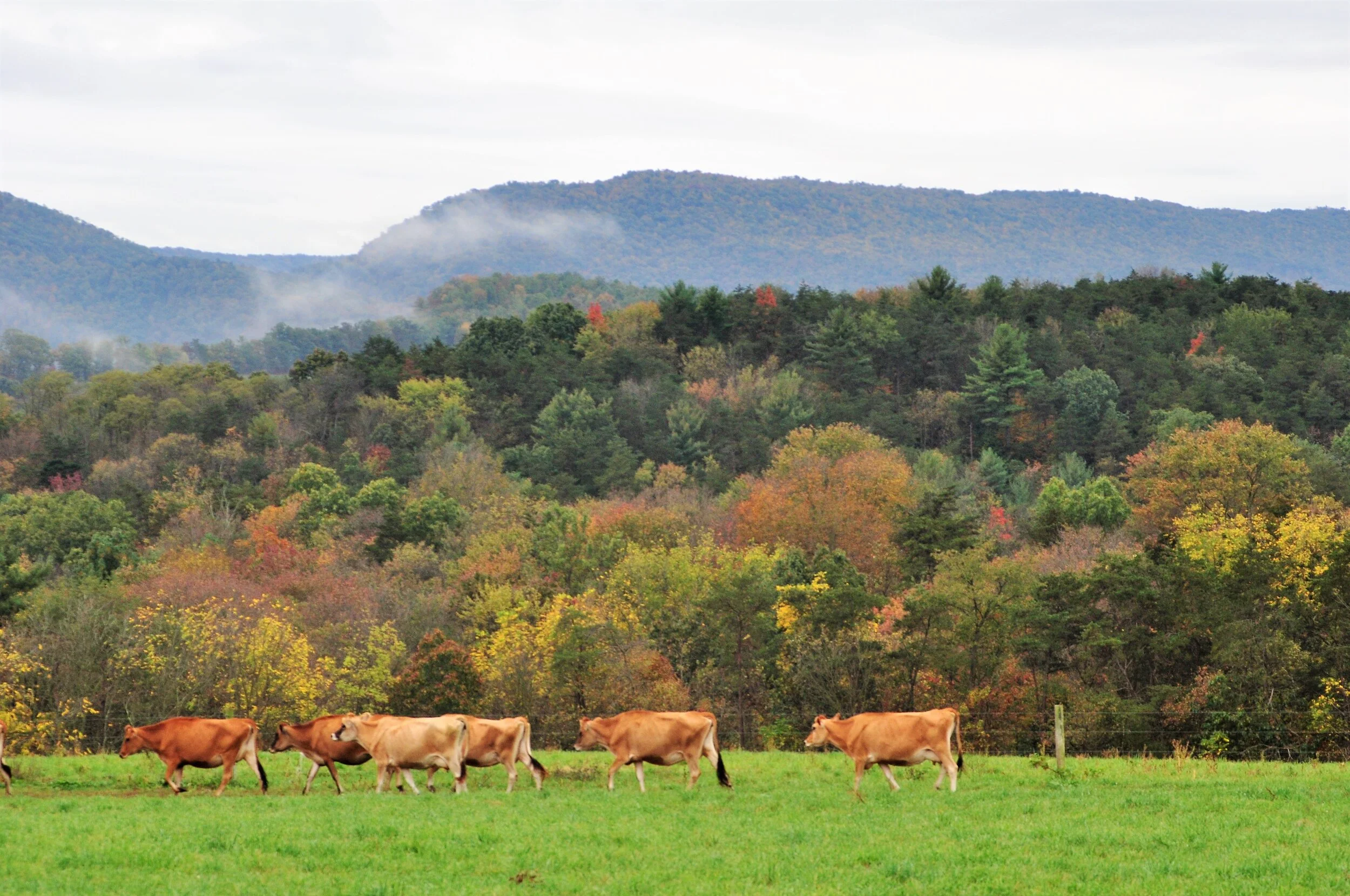 About — Coulter Farms