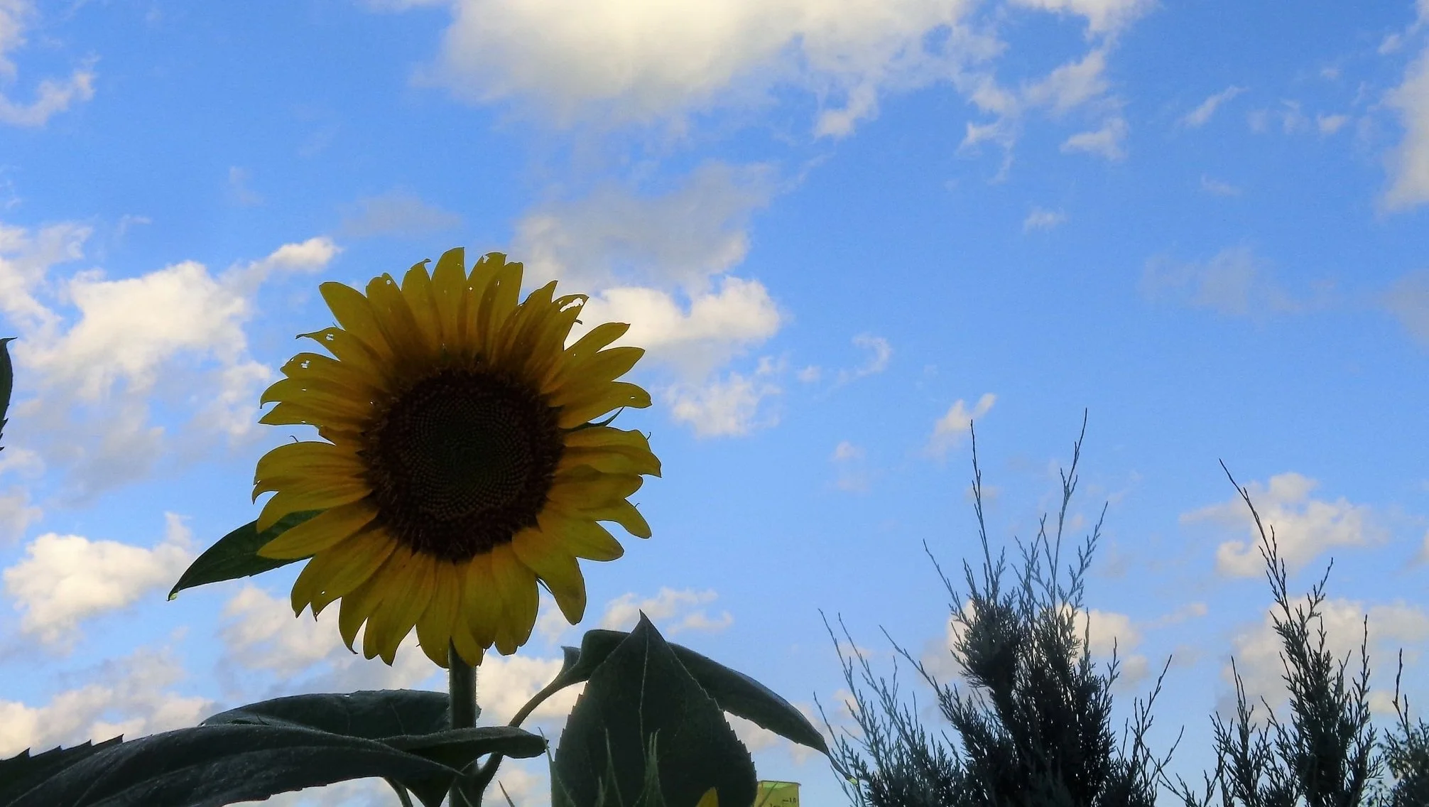 Contact Us — Coulter Farms