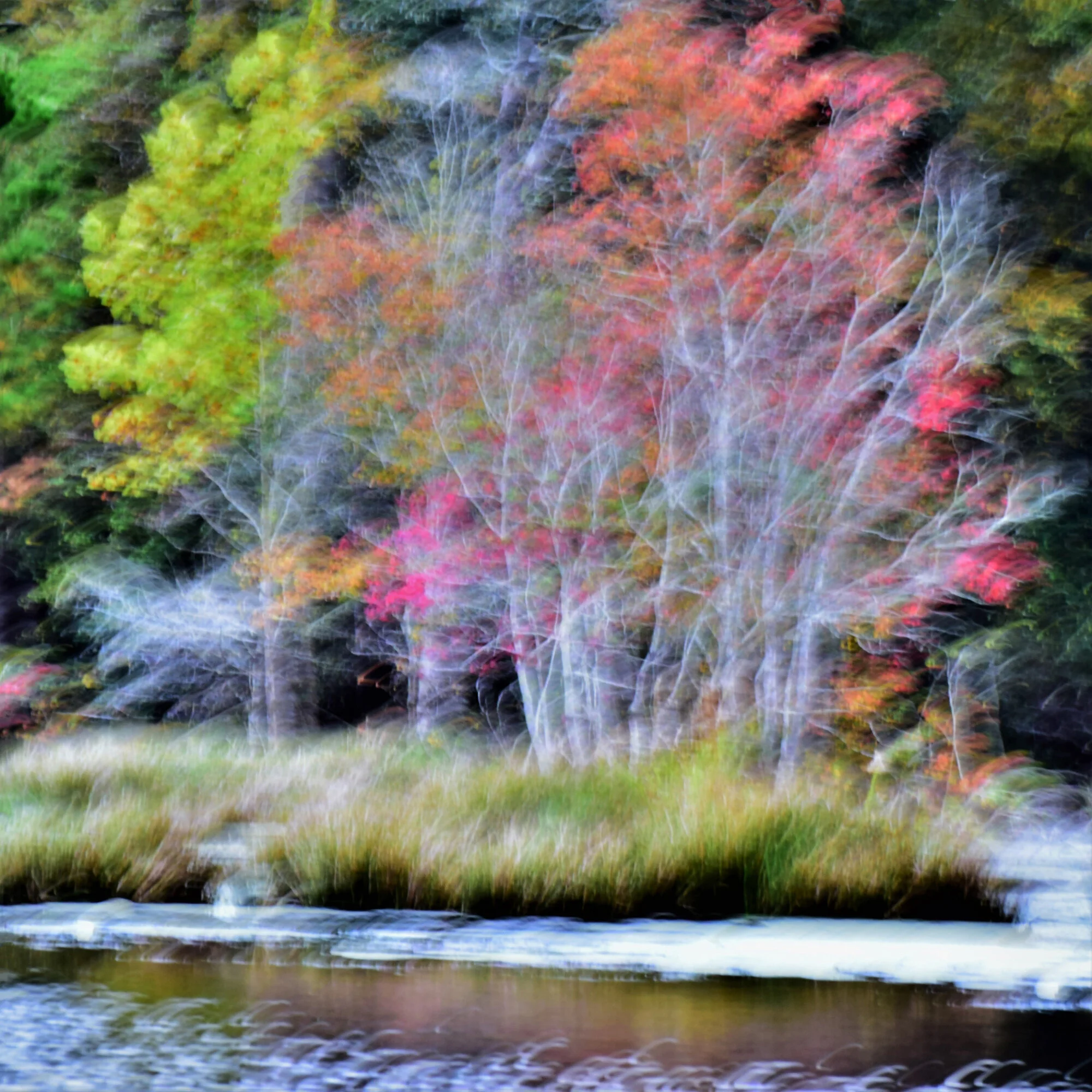 Shades-of-Autumn_24x-web.jpg