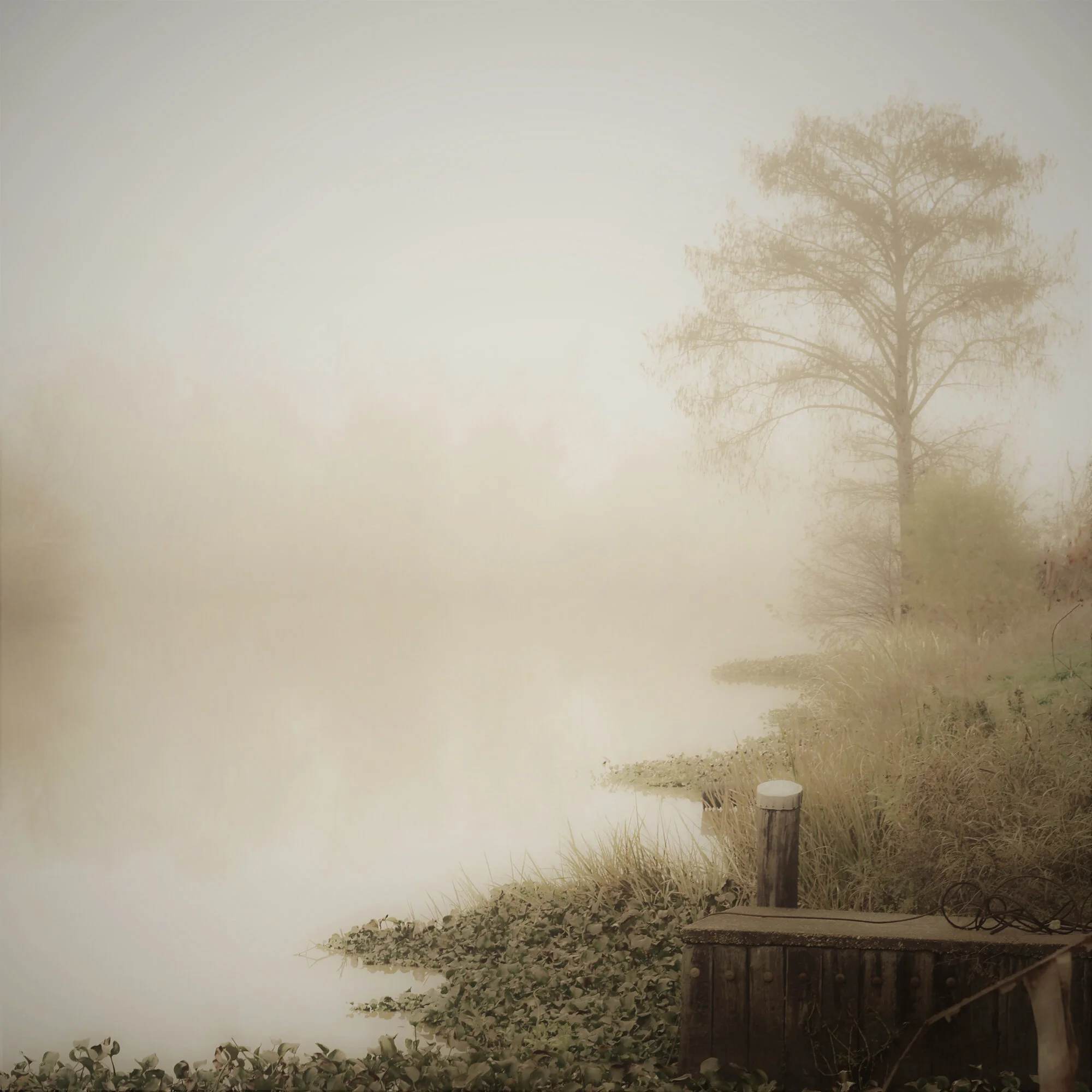 Little-Tensas-Bayou_24x-web.jpg