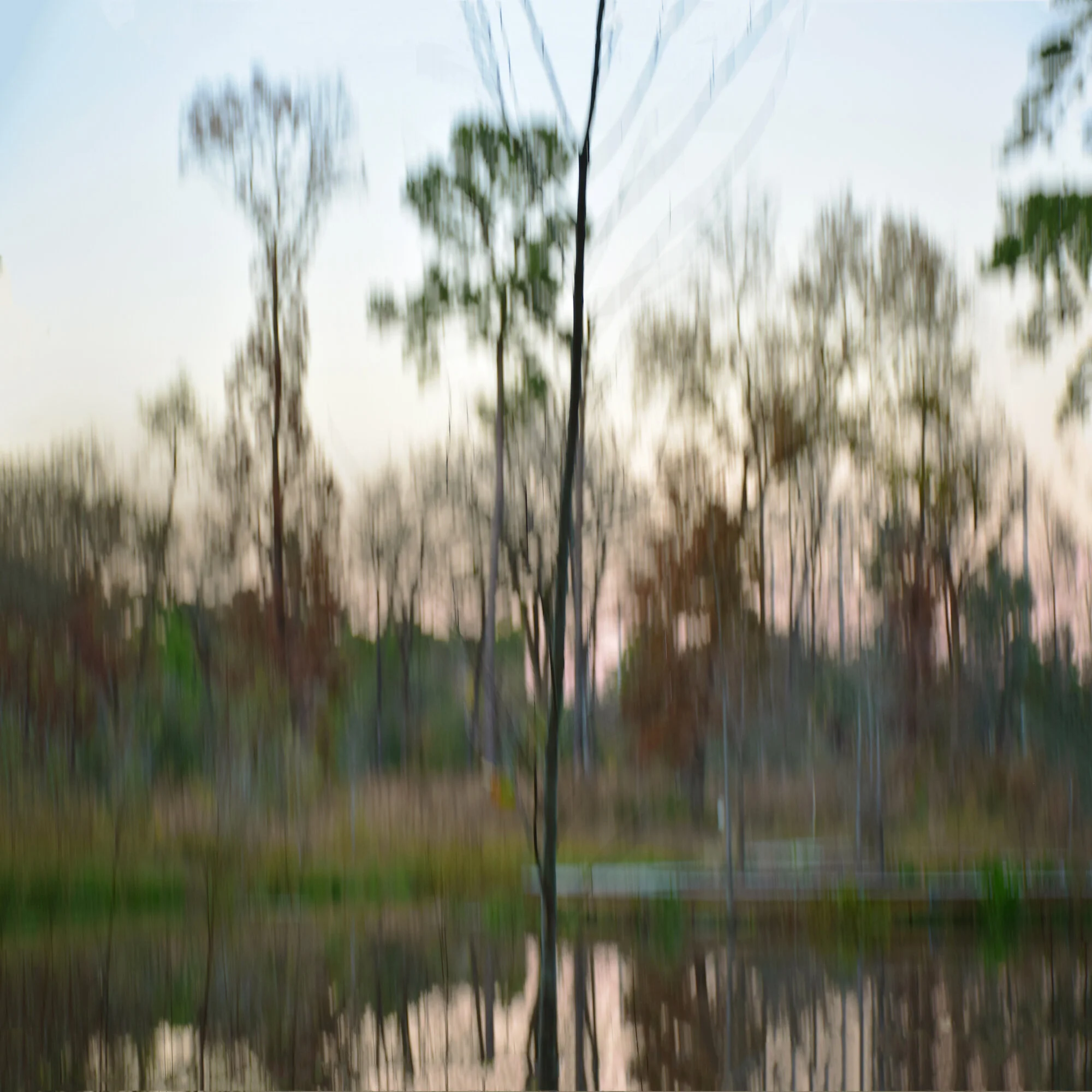 Arboretum-Evening_20x-web.jpg