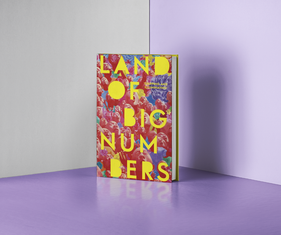 review-of-land-of-big-numbers-by-te-ping-chen-bad-form