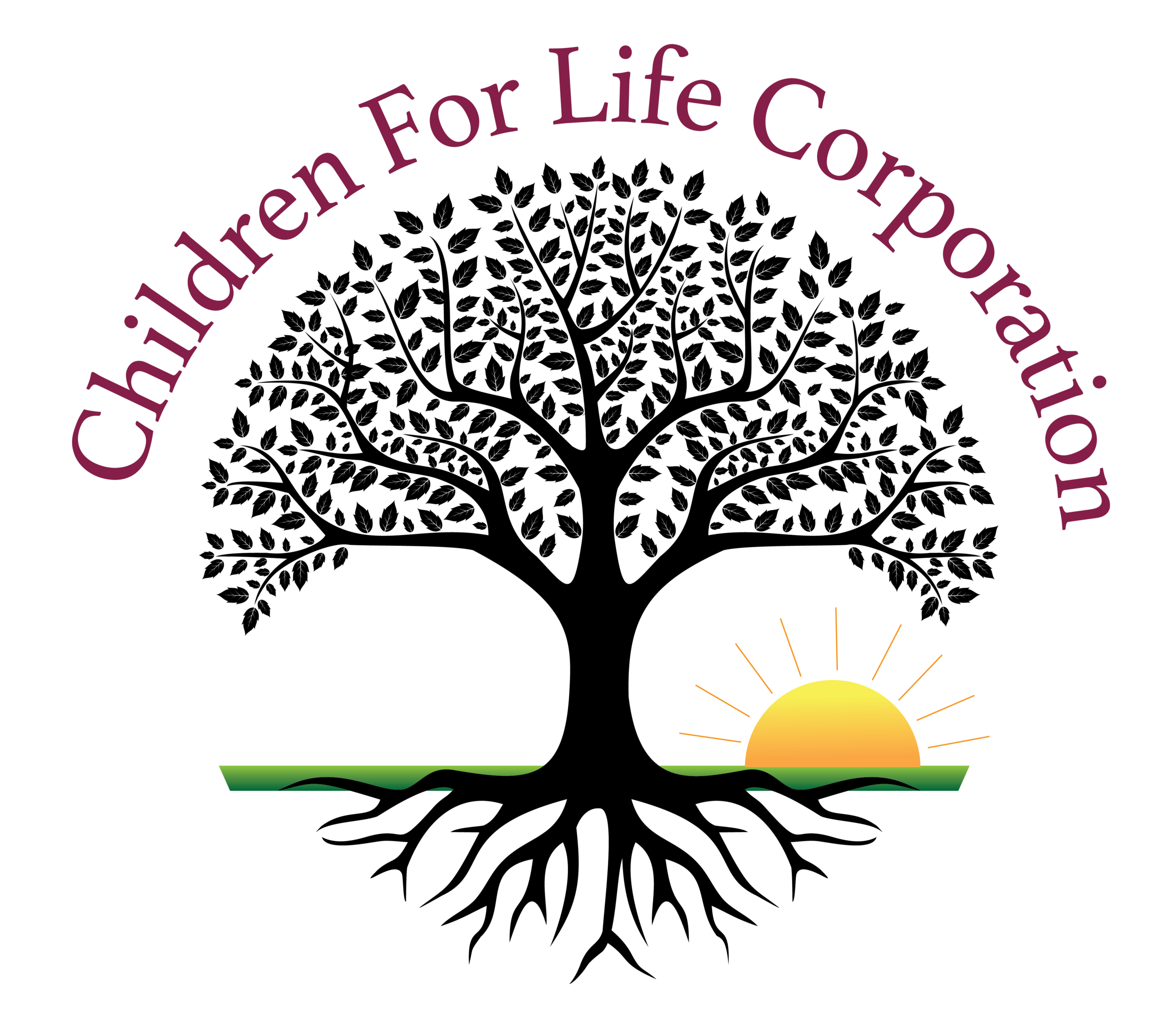 St. Jude Bass Classic