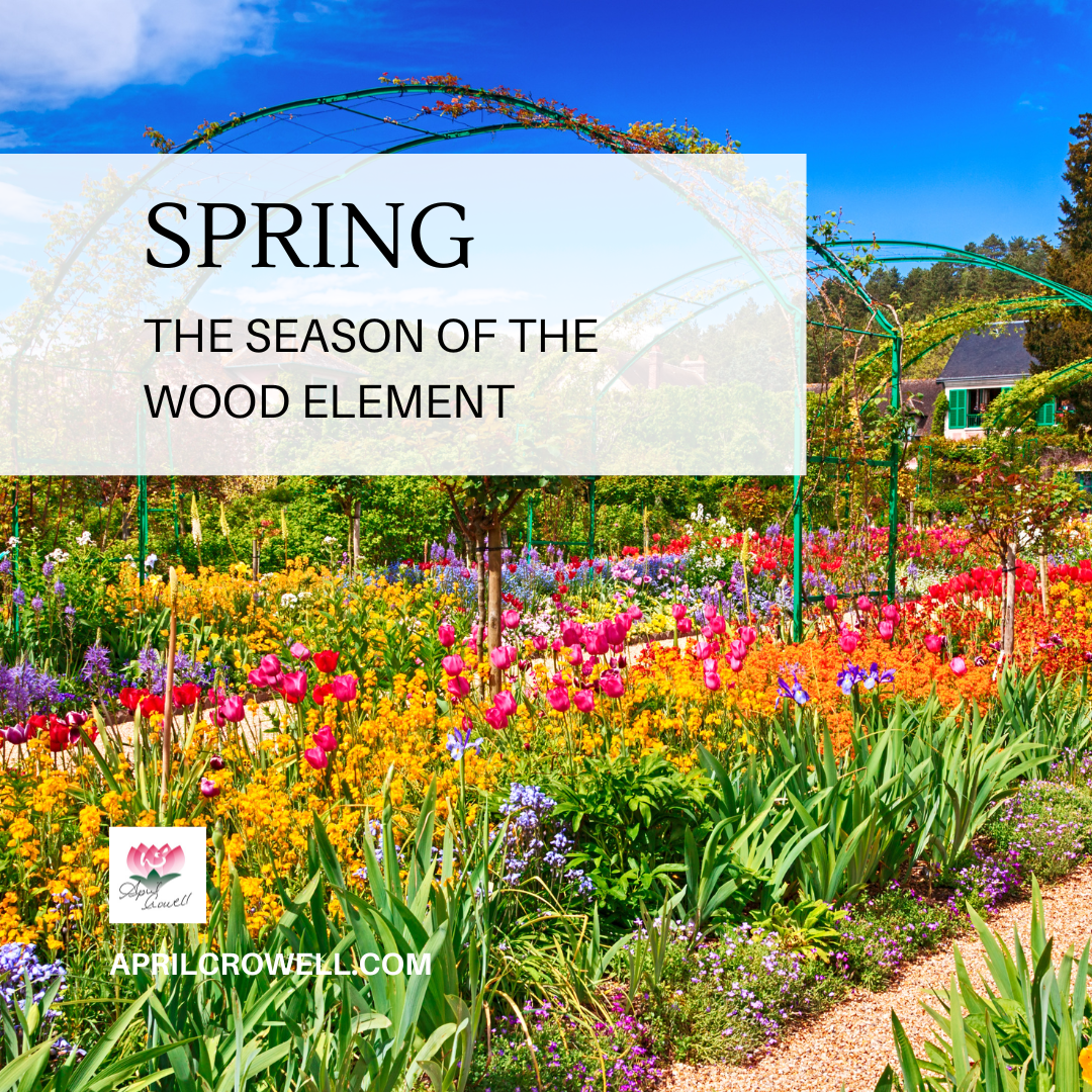 Spring 03 September Spring’s Energetics – The Season Of The Wood Element — Aprilcrowell.com