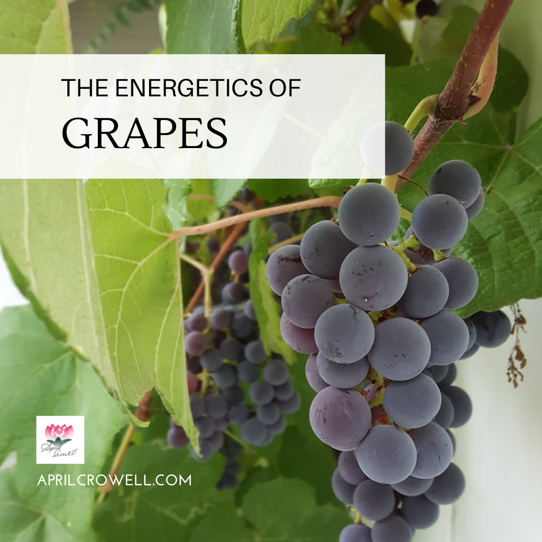 The Energetics of Grapes — Aprilcrowell.com