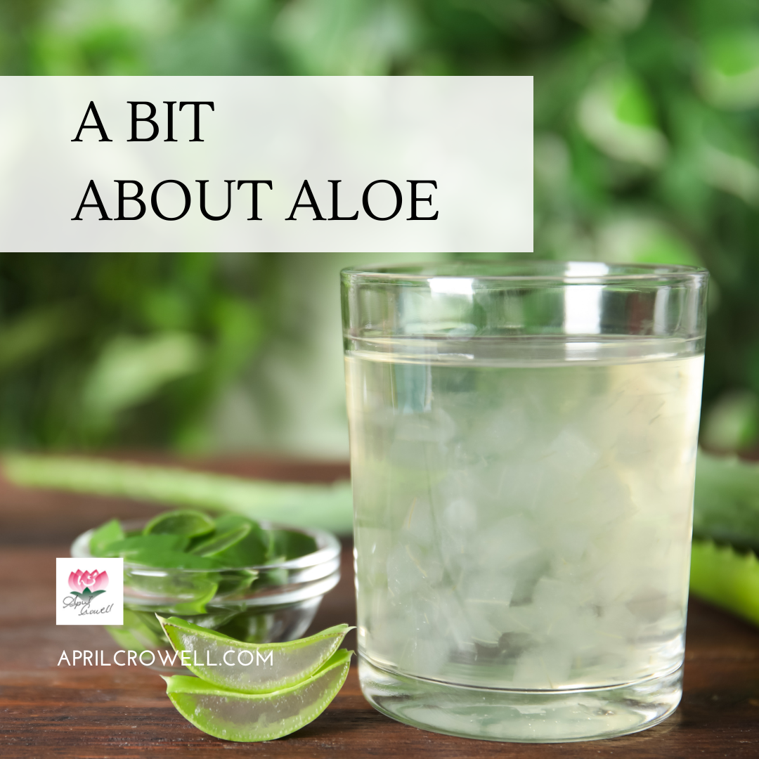 A Bit About Aloe — Aprilcrowell.com
