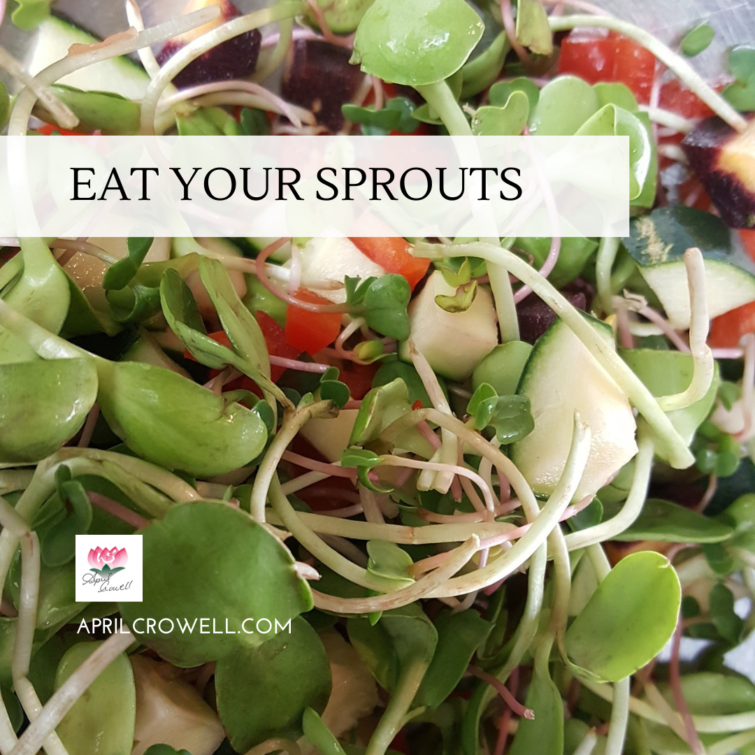 Eat Your Sprouts — Aprilcrowell.com