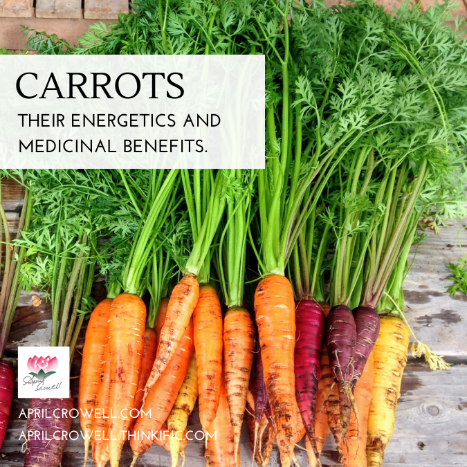 Carrots Their Energetics And Medicinal Benefits —