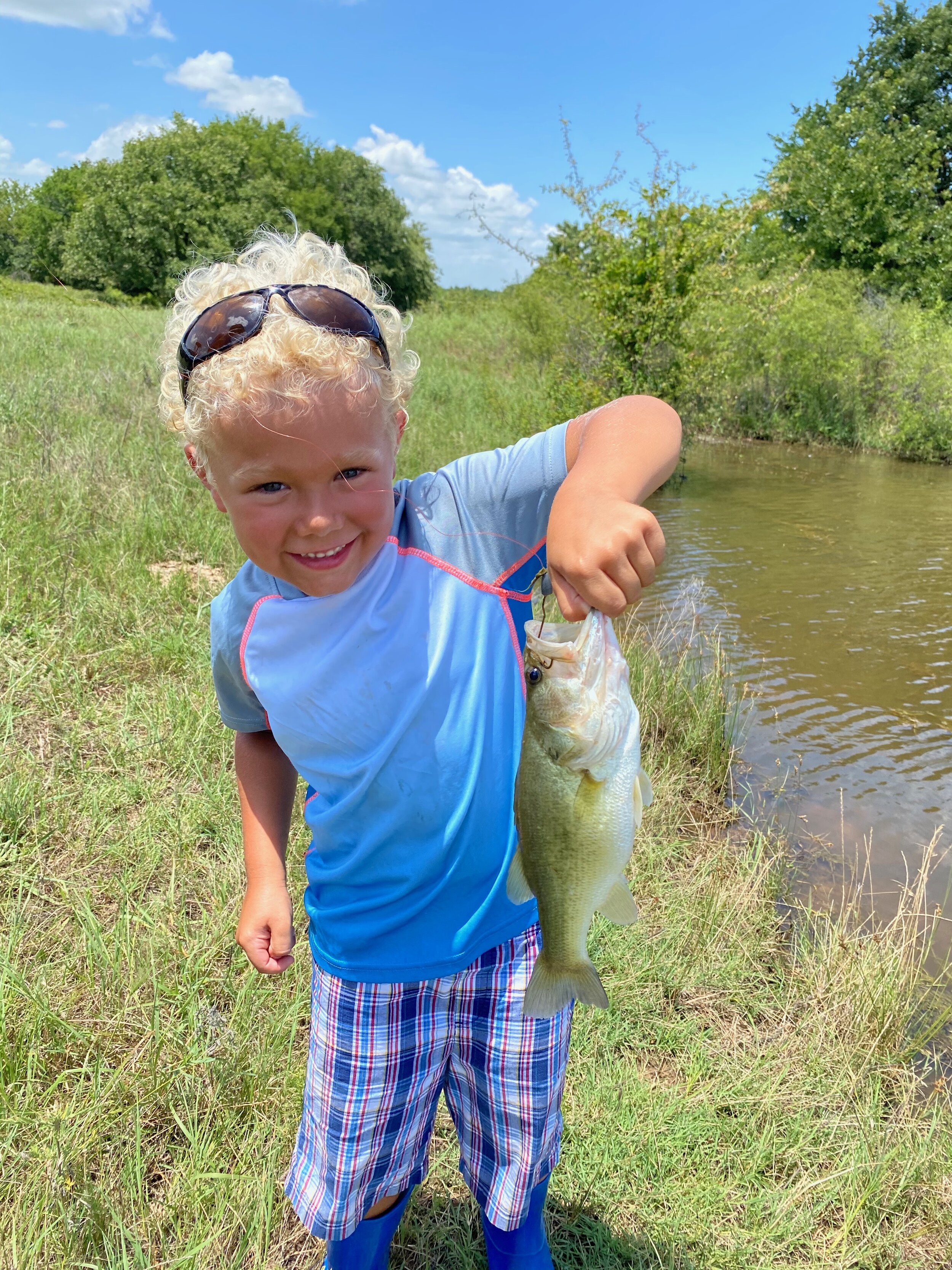 Land for Sale — Nocona Hills