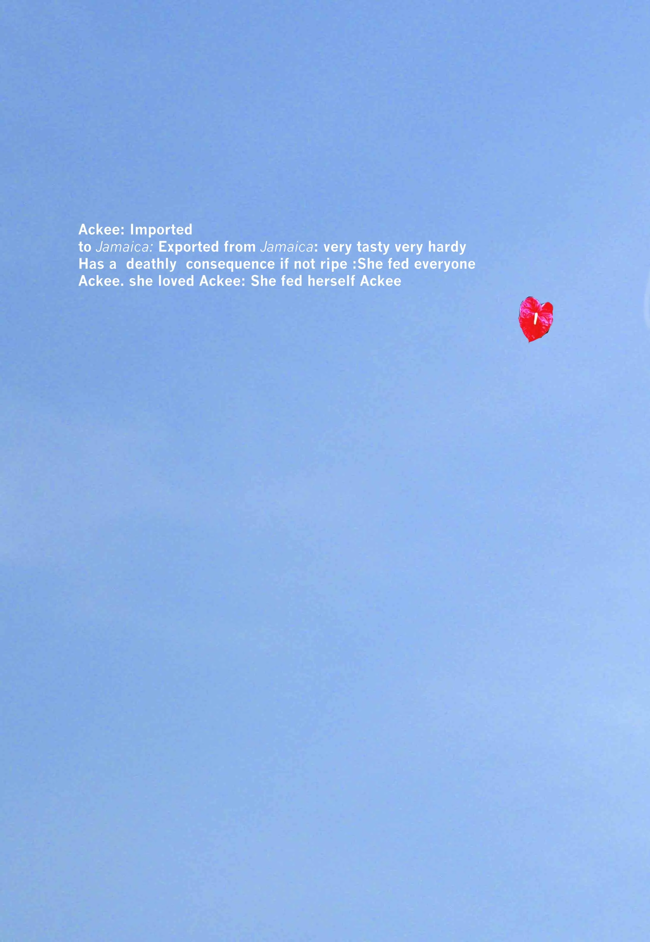 zooming in and out to see if I'm still here copy.jpg