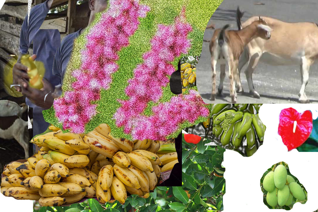 banana's & fire.jpg