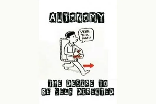 autonomy.jpeg