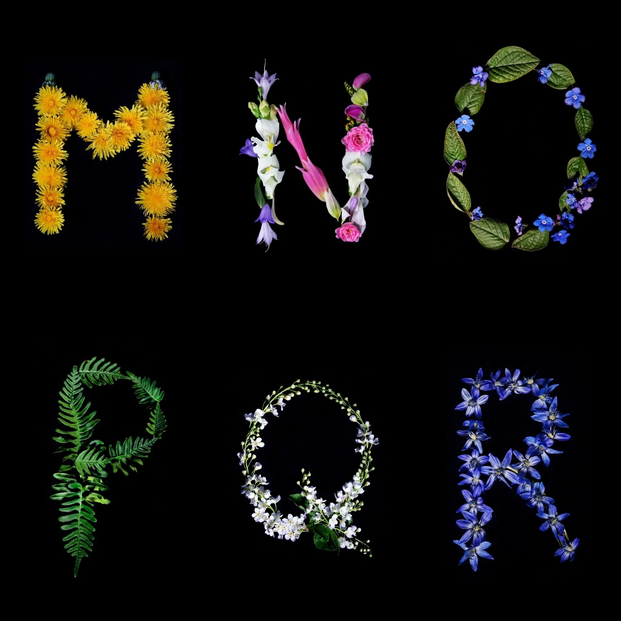 Flowers shaped into letters