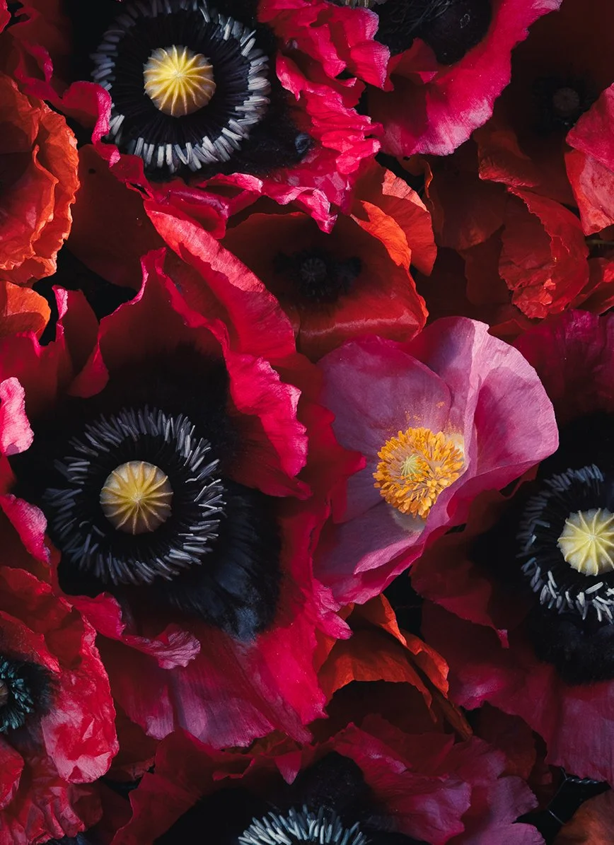 Min dröm - Minun unelmani 