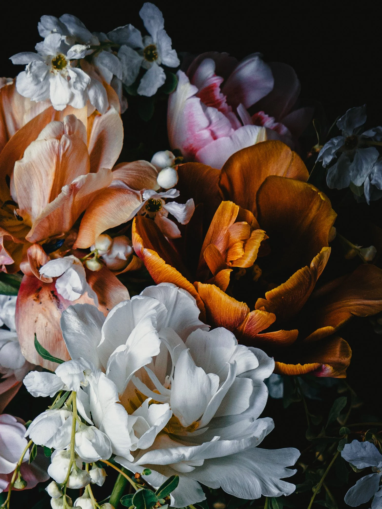 Tavla med tulpaner och pärlbuske