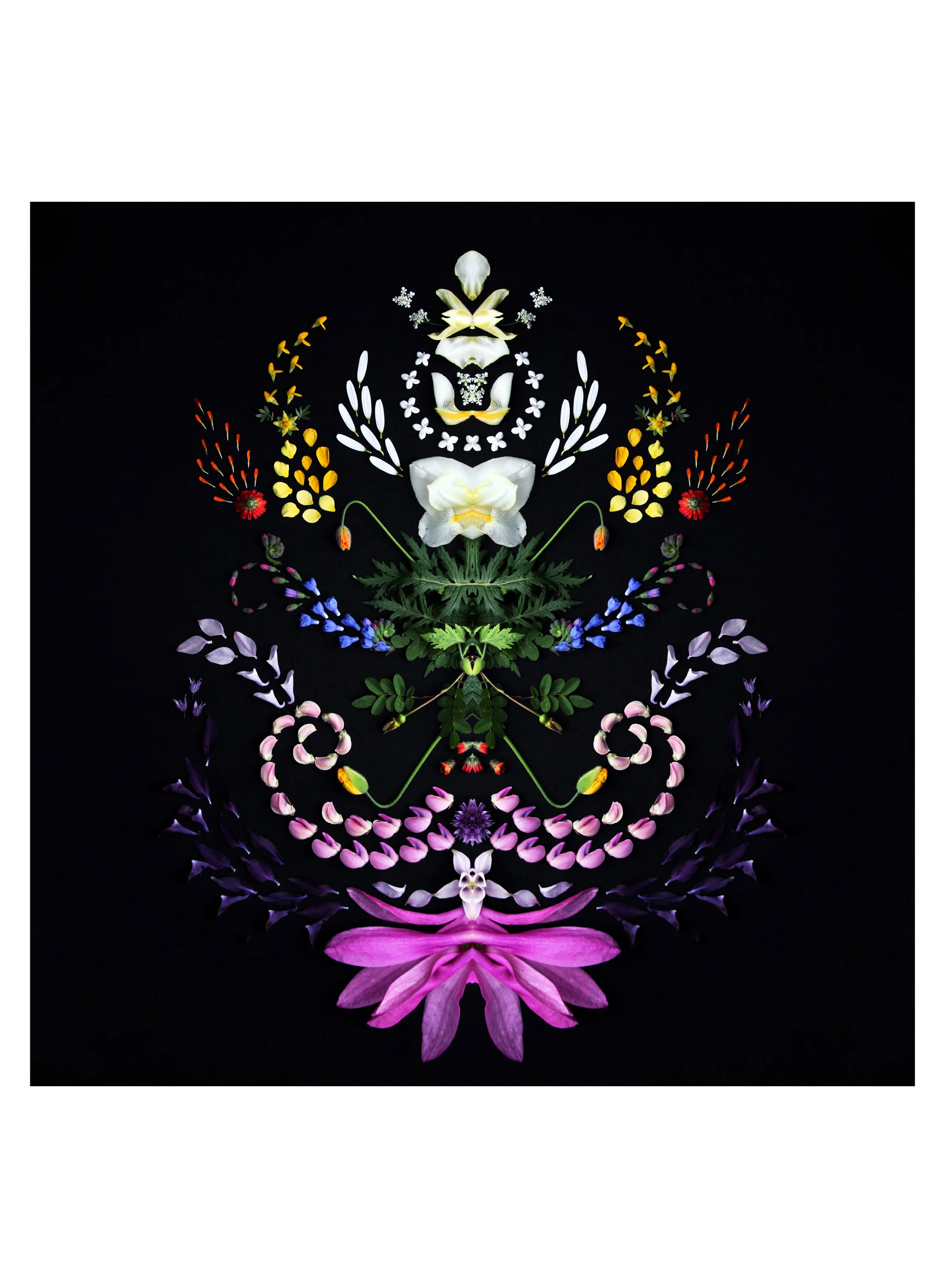 kurbits blomstermandala skapad av blomsterpill