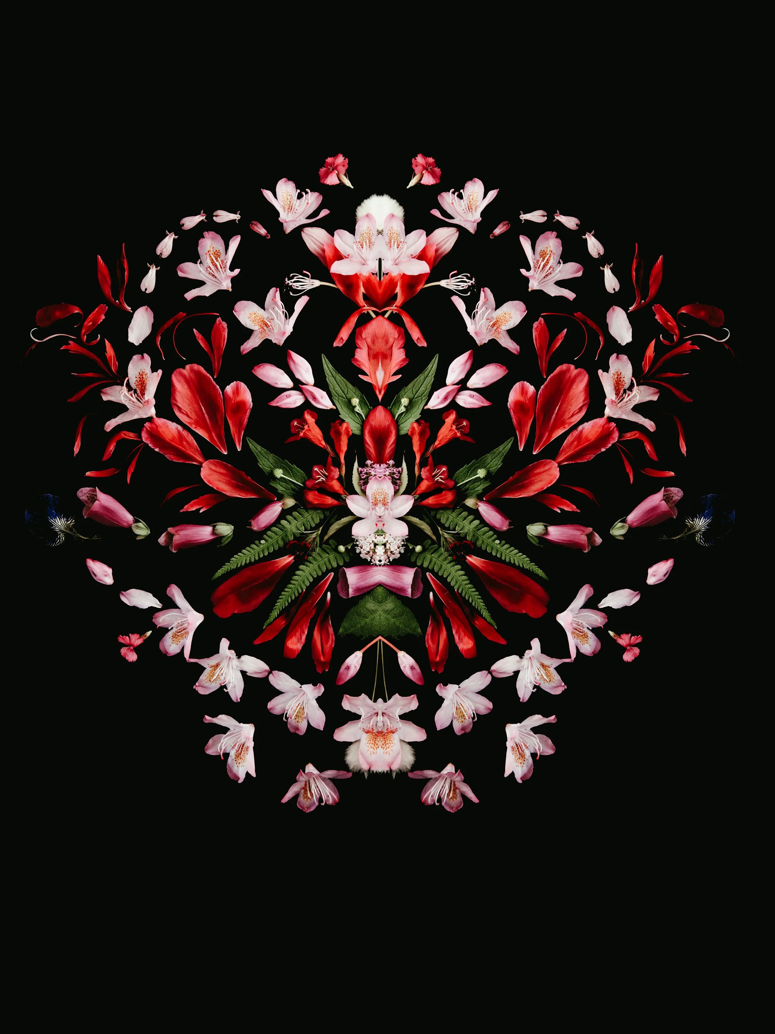 Piony poster homestyling