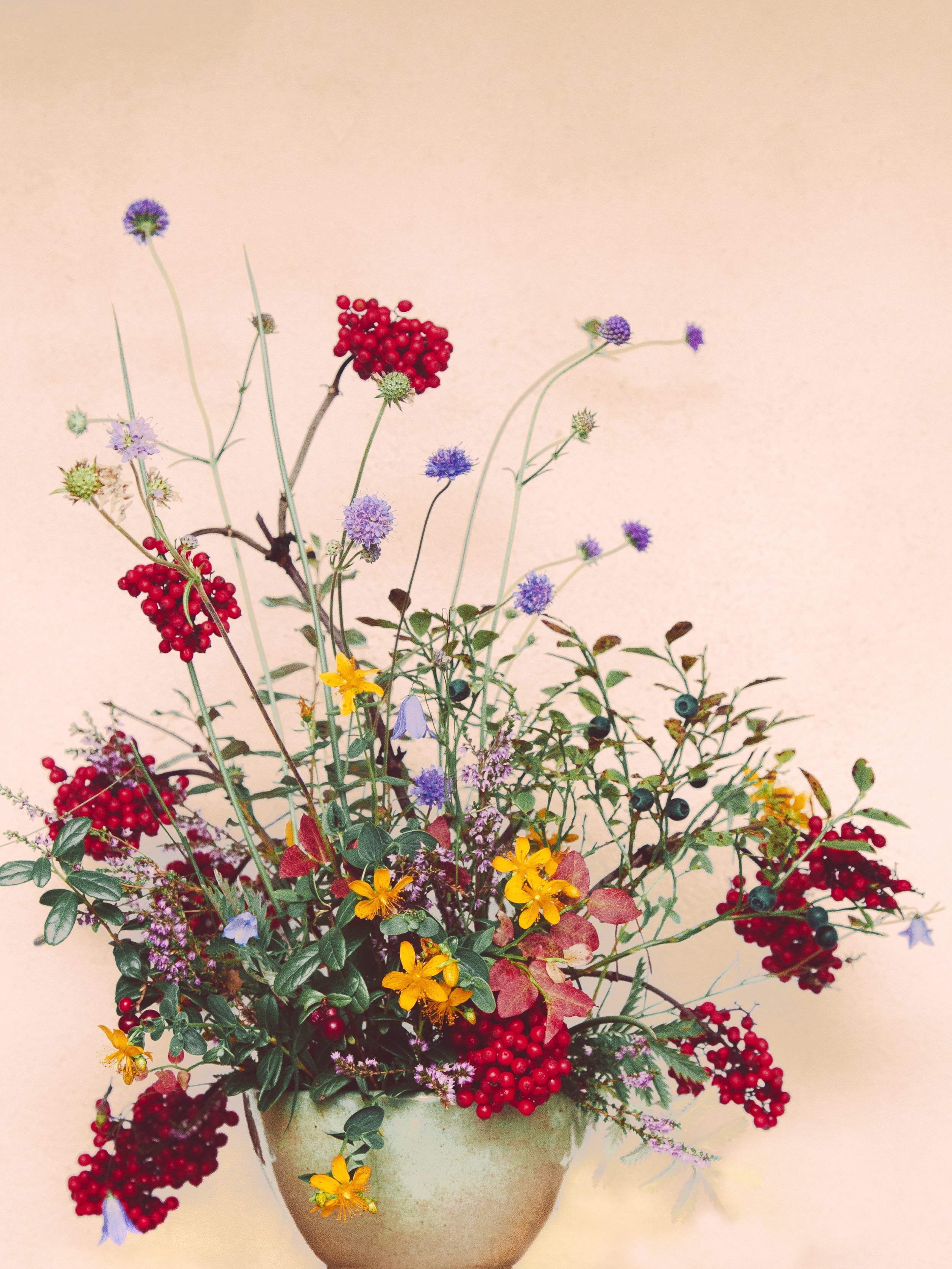 sensommarbukett av druvfläder, johannesört, blåbär, vädd och blåklocka.