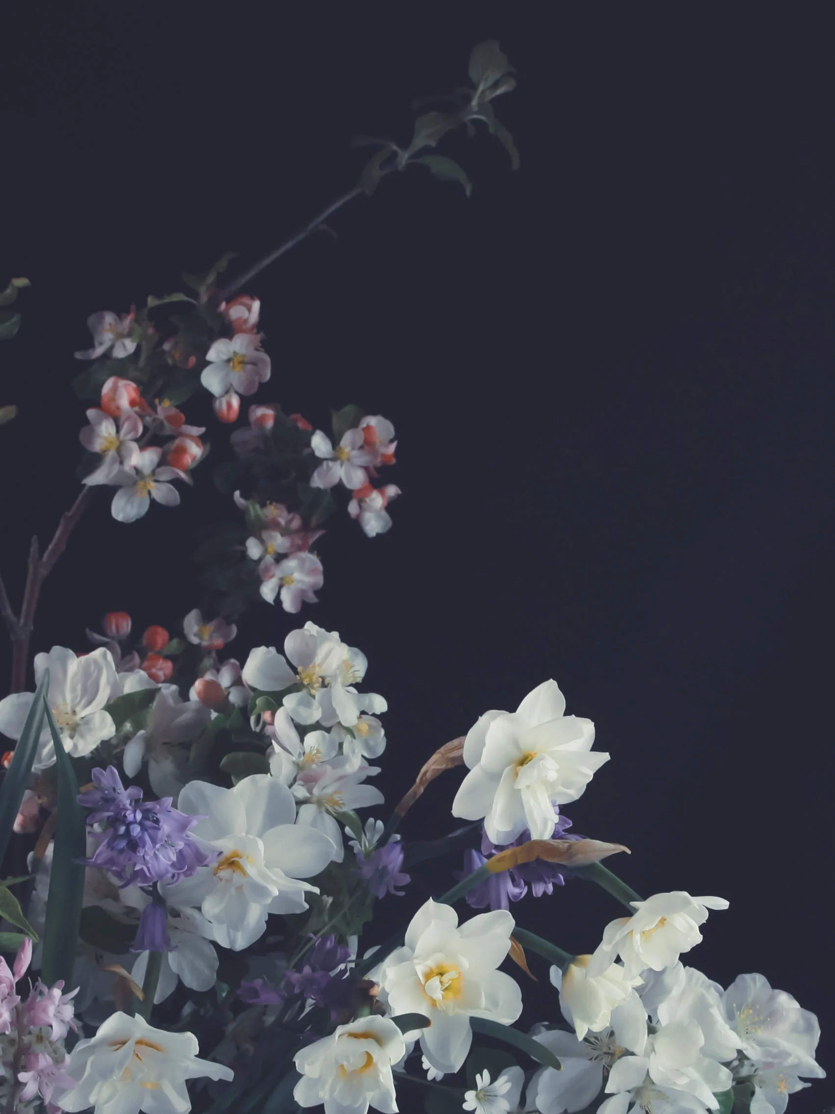 Äppleblom och pingsliljor