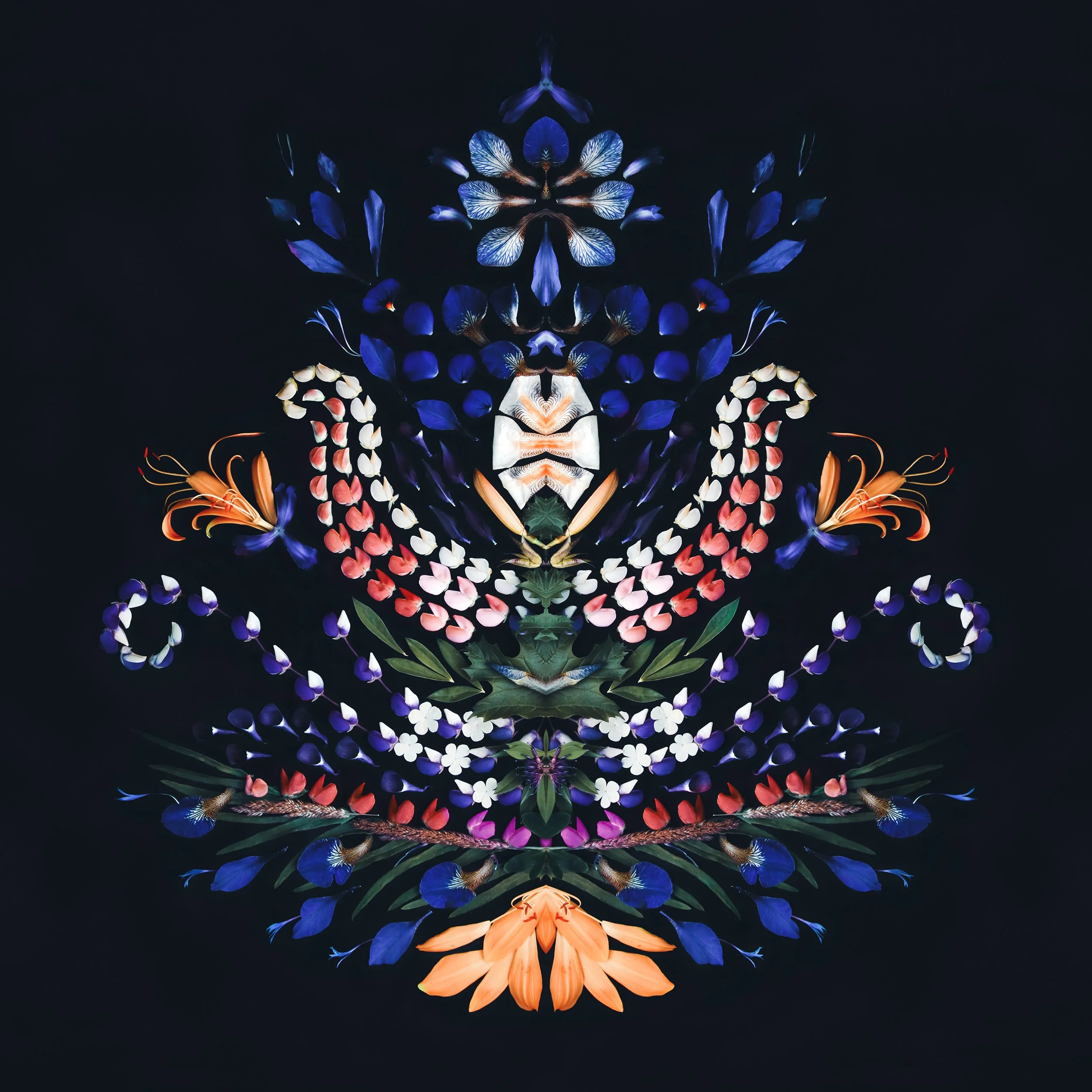 Kurbits av lupin och iris