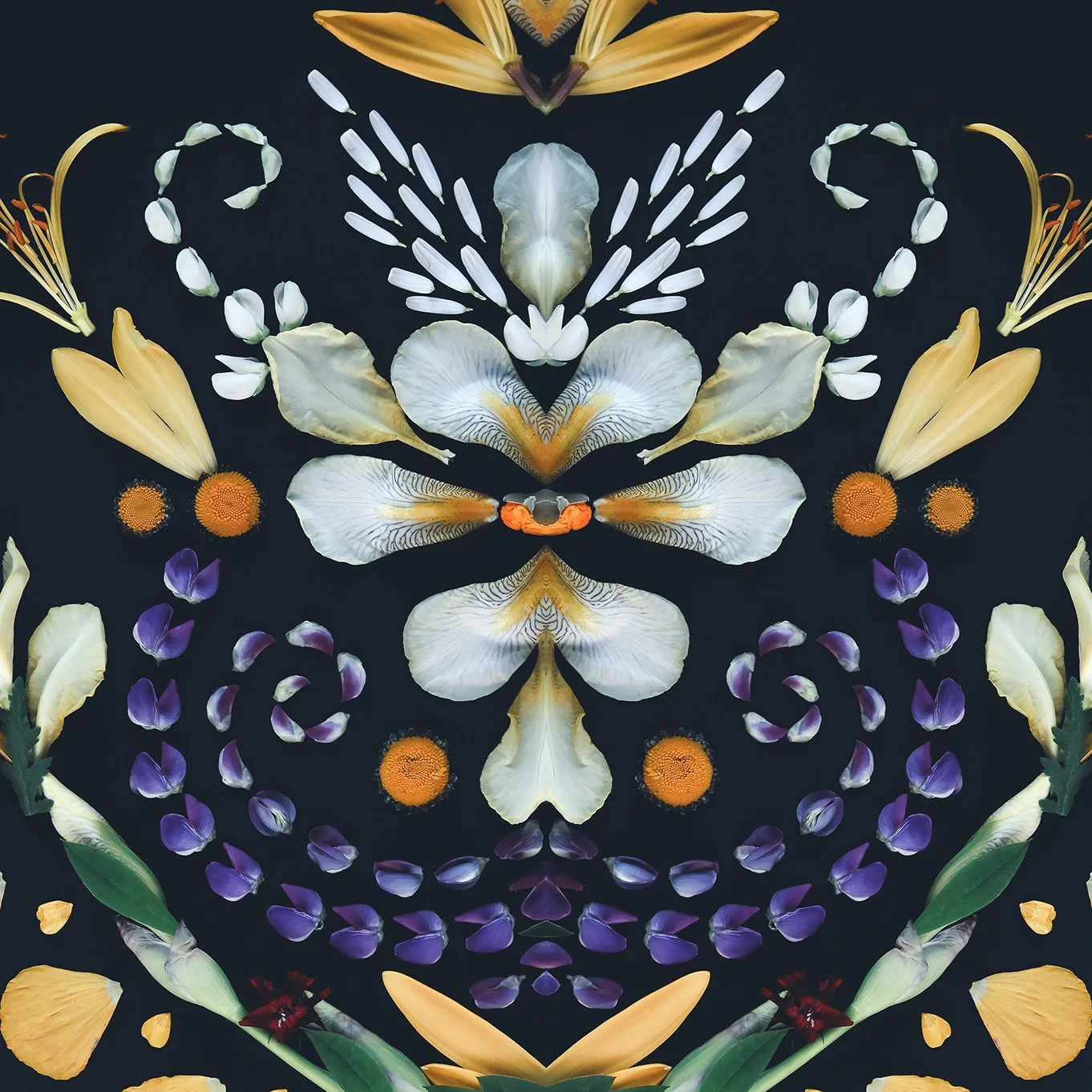 Detalj av blomstermandalan "Swedish crown"