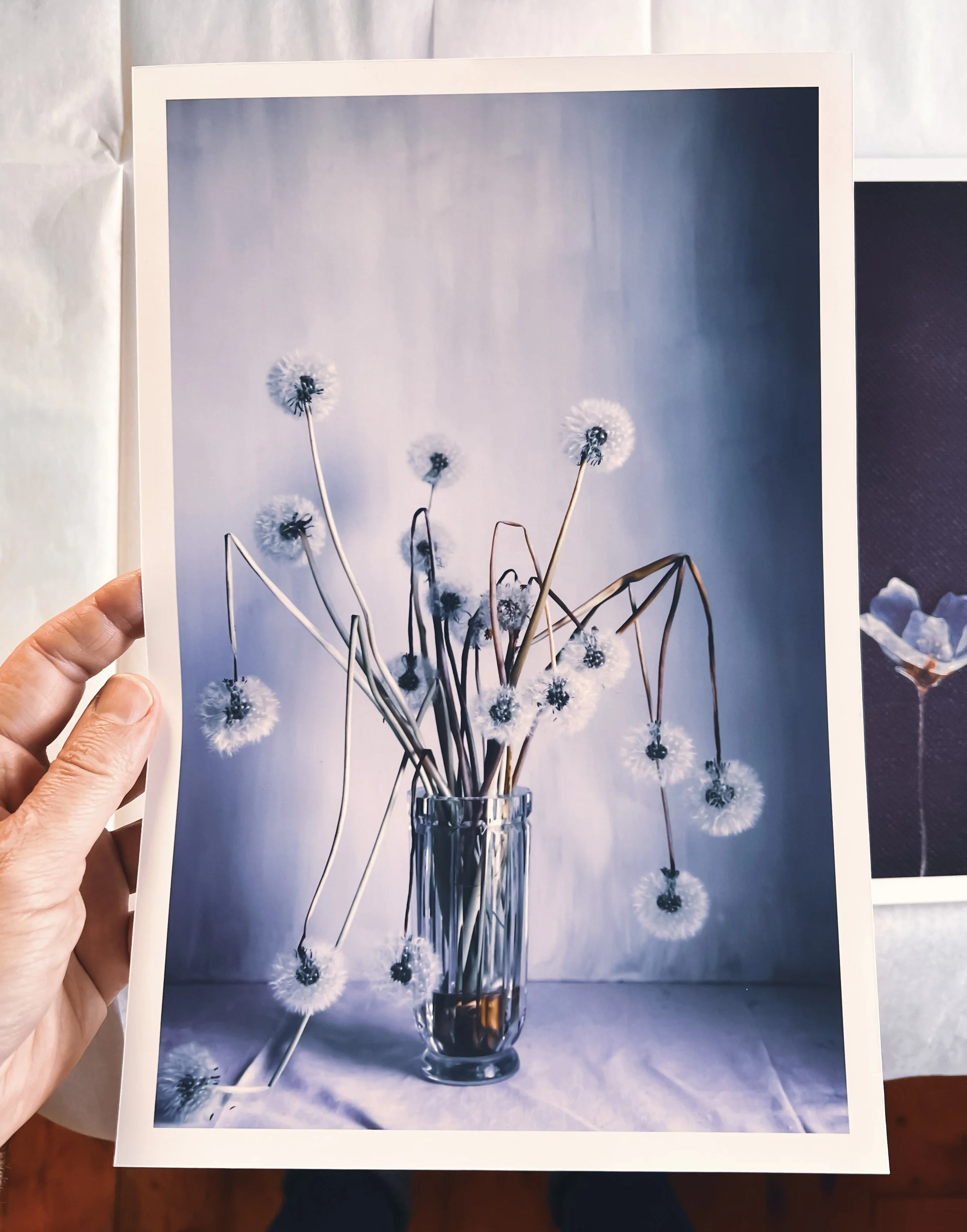 Floral fine art print