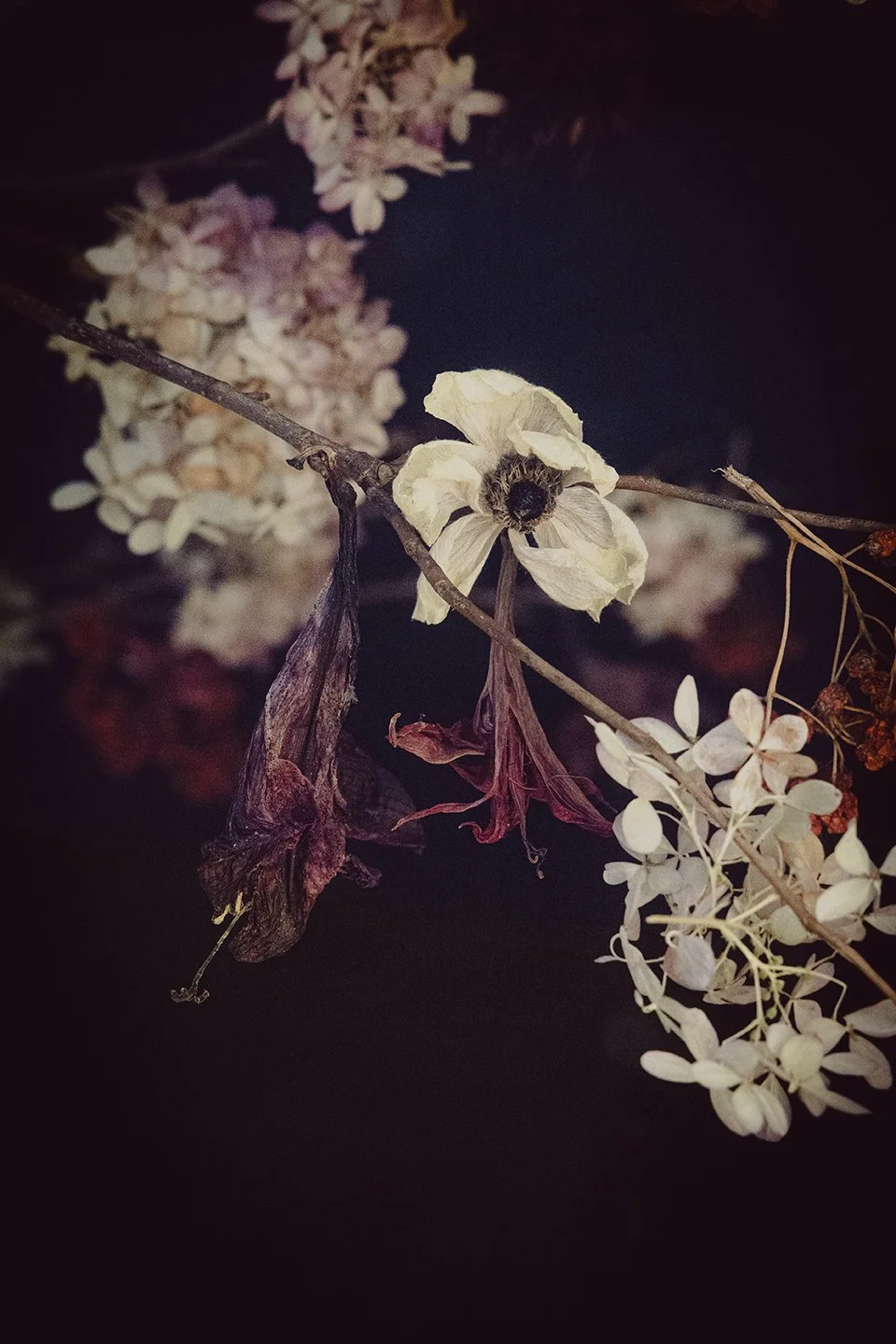 Lysande fönster Rydals museum 