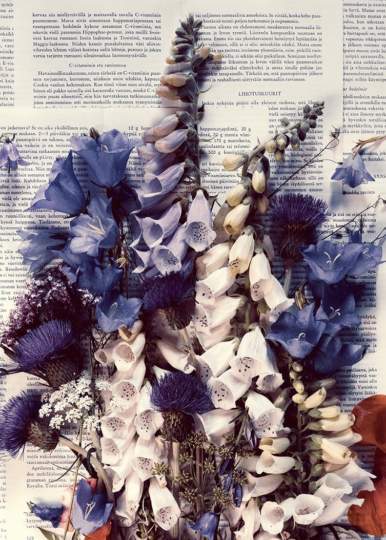 Digitalis och läkekonsten