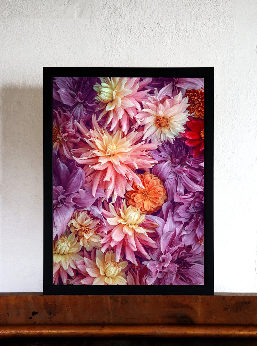 Dahlia fine art print