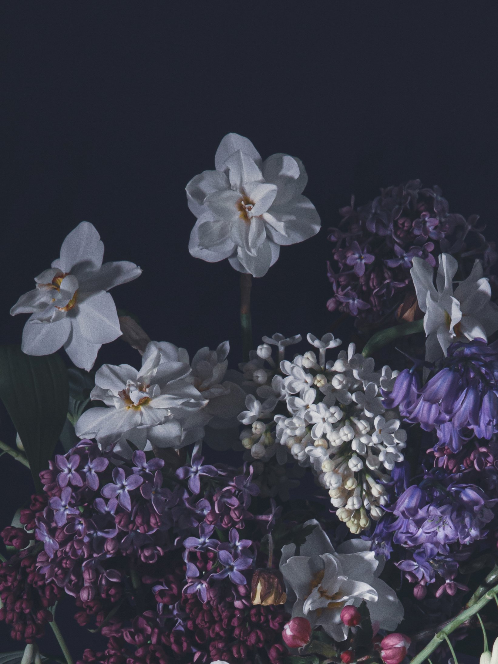 pingsliljor med syrener i en fine art print