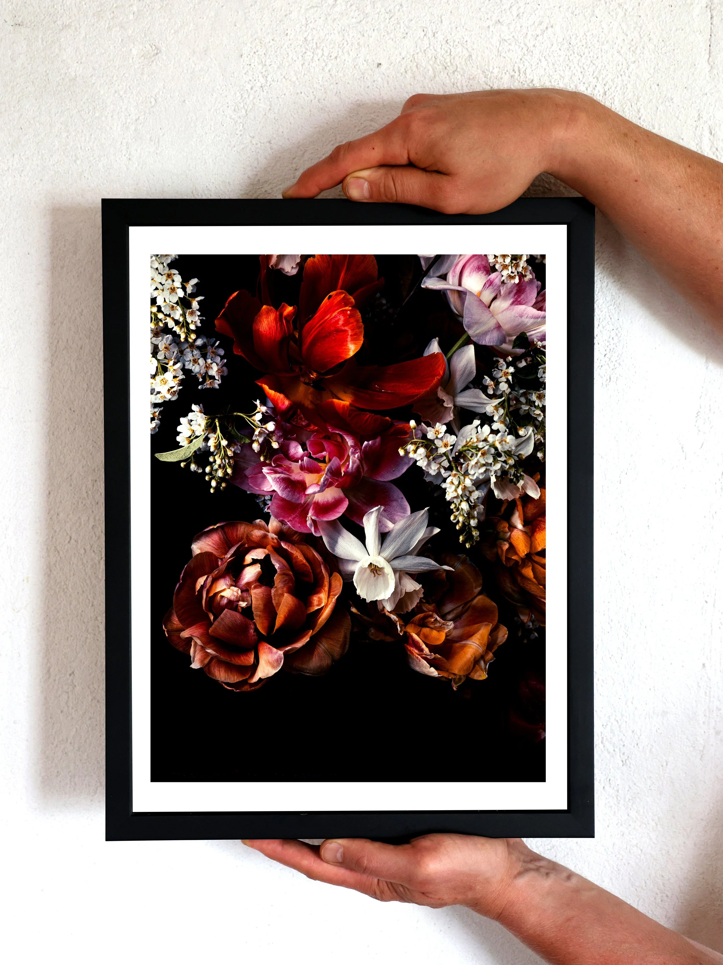 Fine art print med tulpaner och hägg