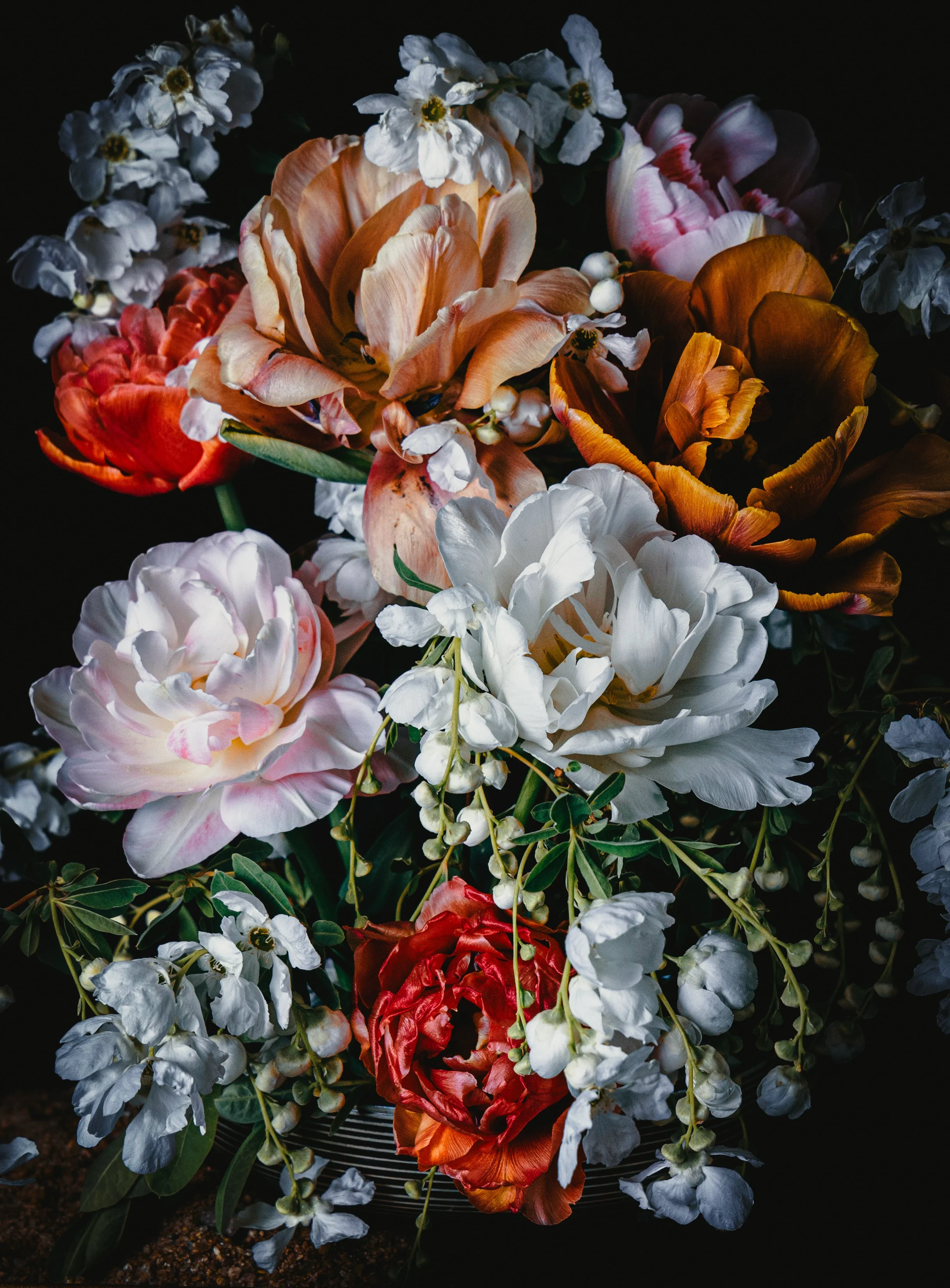 Tulip and pearls fine art print