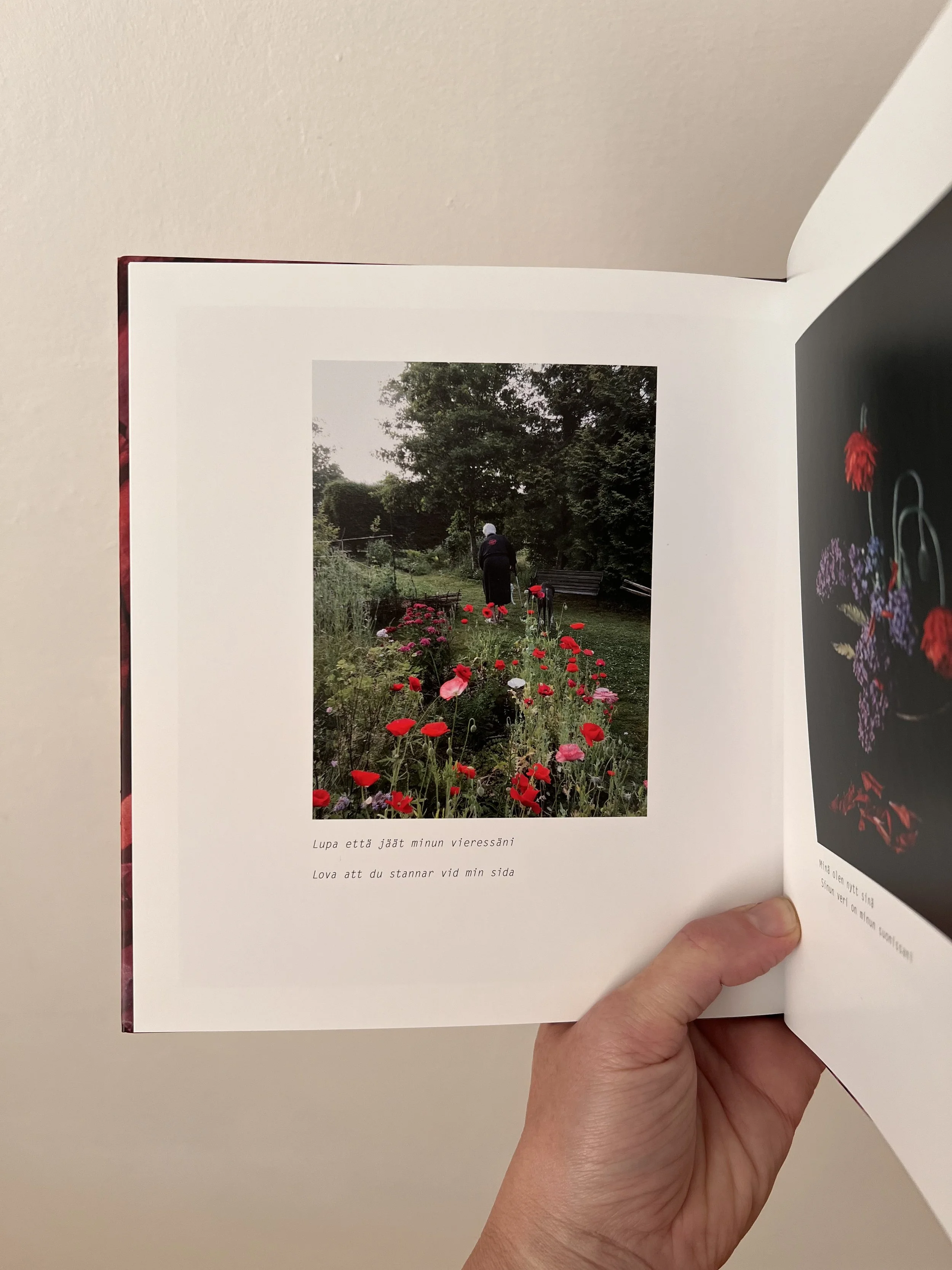 i trädgården bland vallmoblommor