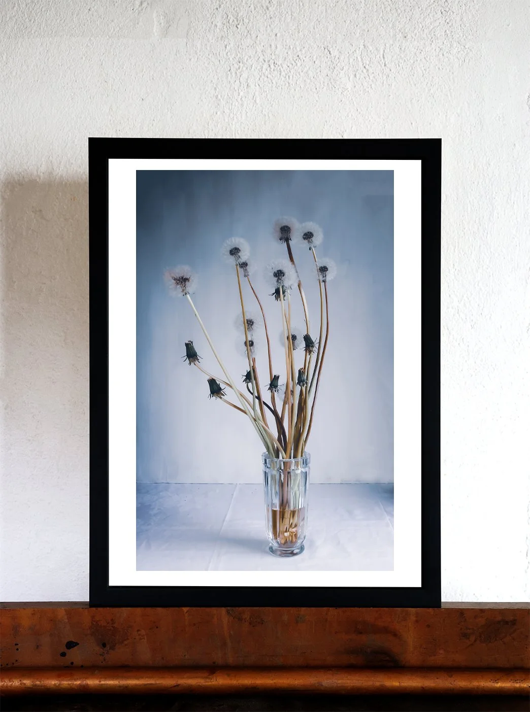 Blomsterkonst fotografi av maskros