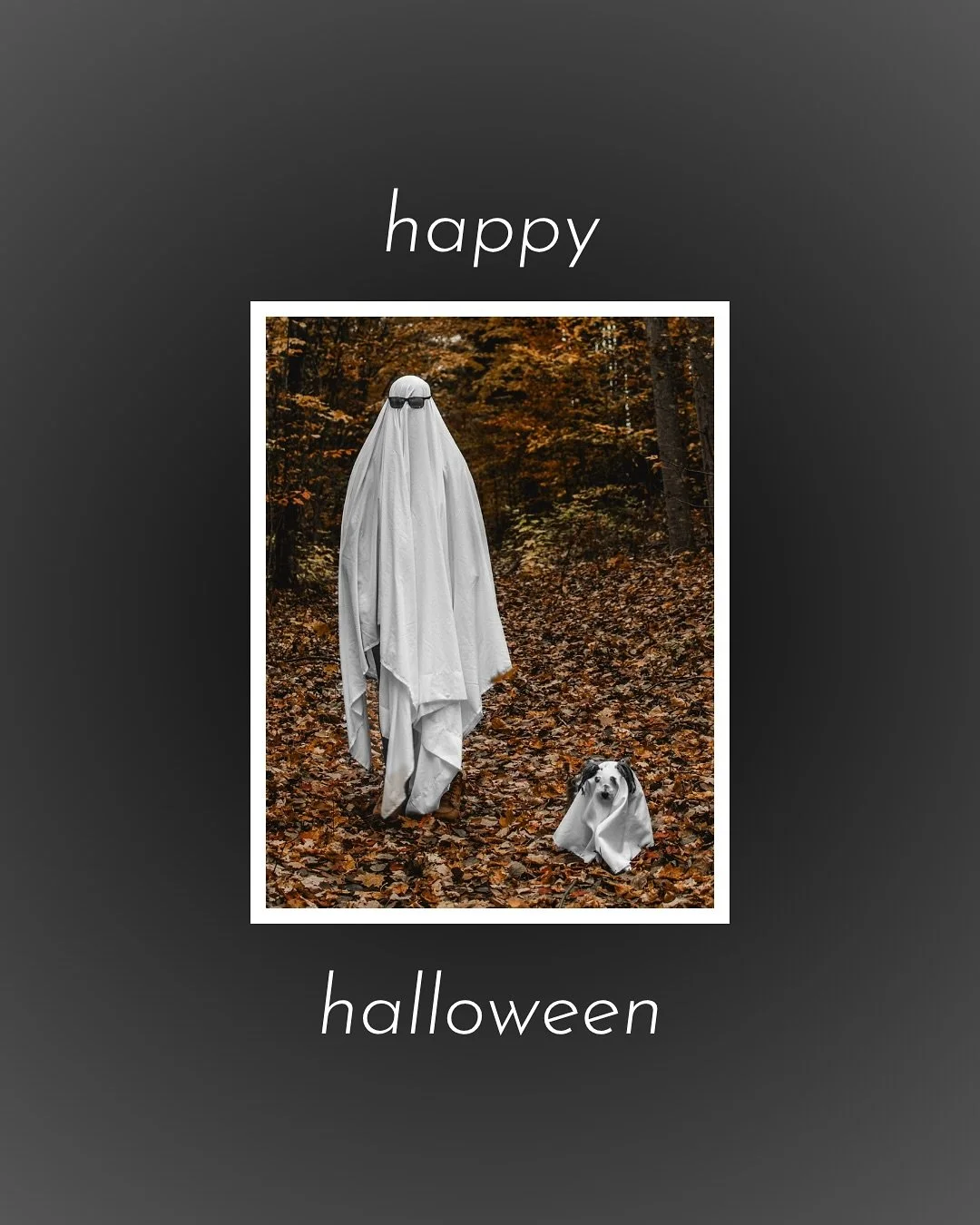 Happy Halloween from Juicebox Studios and our little dog Chelsea 🎃❤️👻