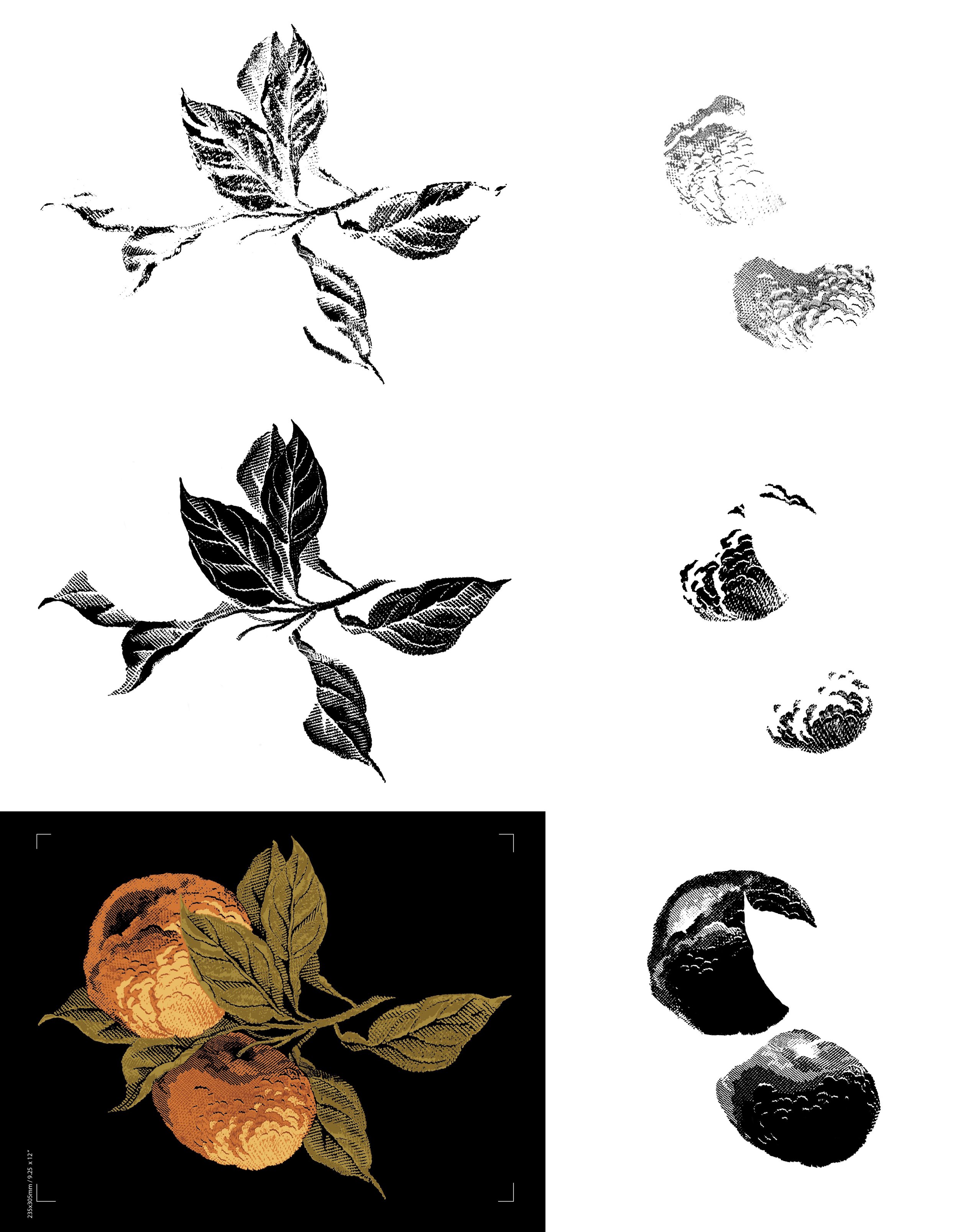 Oranges Pattern