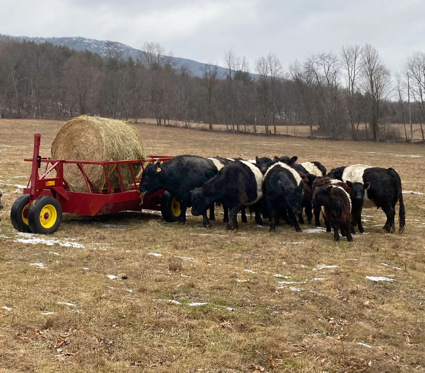 New Hay Wagon Arrives!