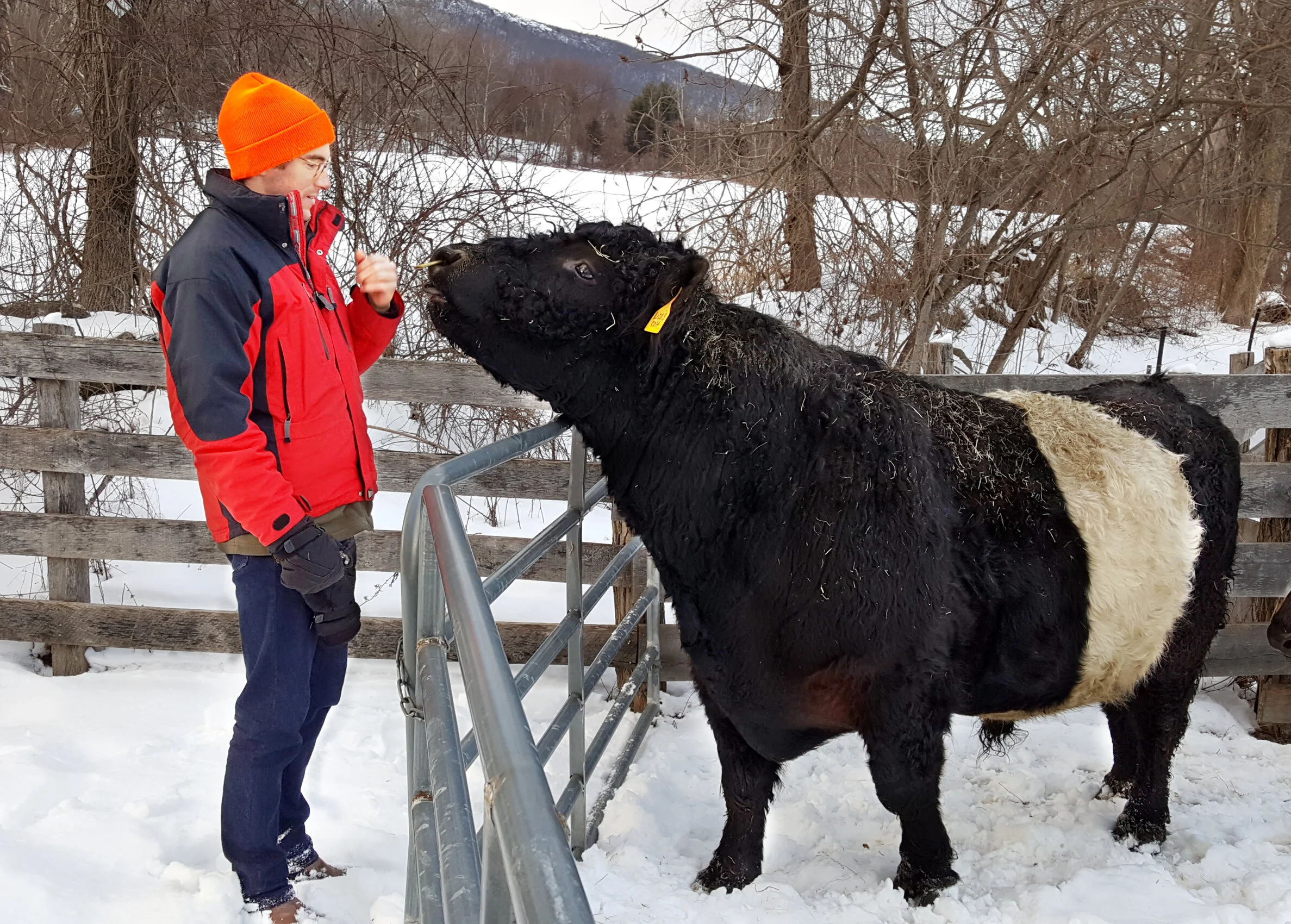February on the Farm